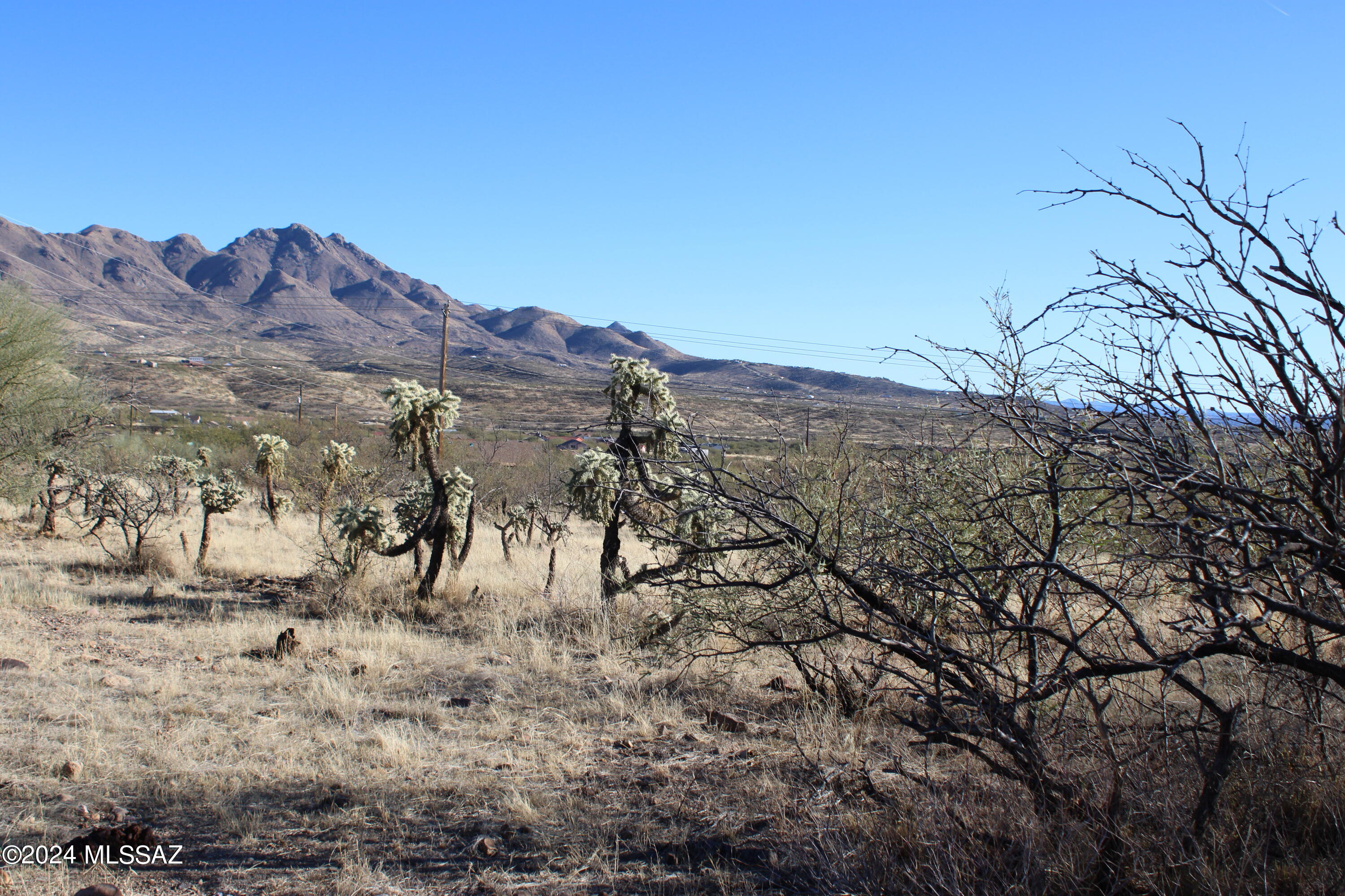 Rio Rico Estates 16 - Land