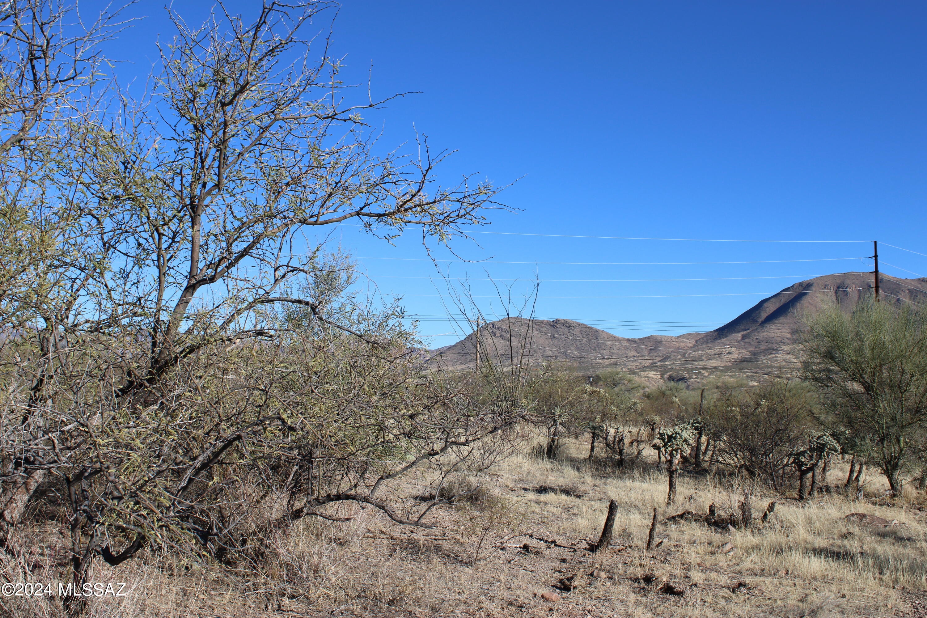 Rio Rico Estates 16 - Land