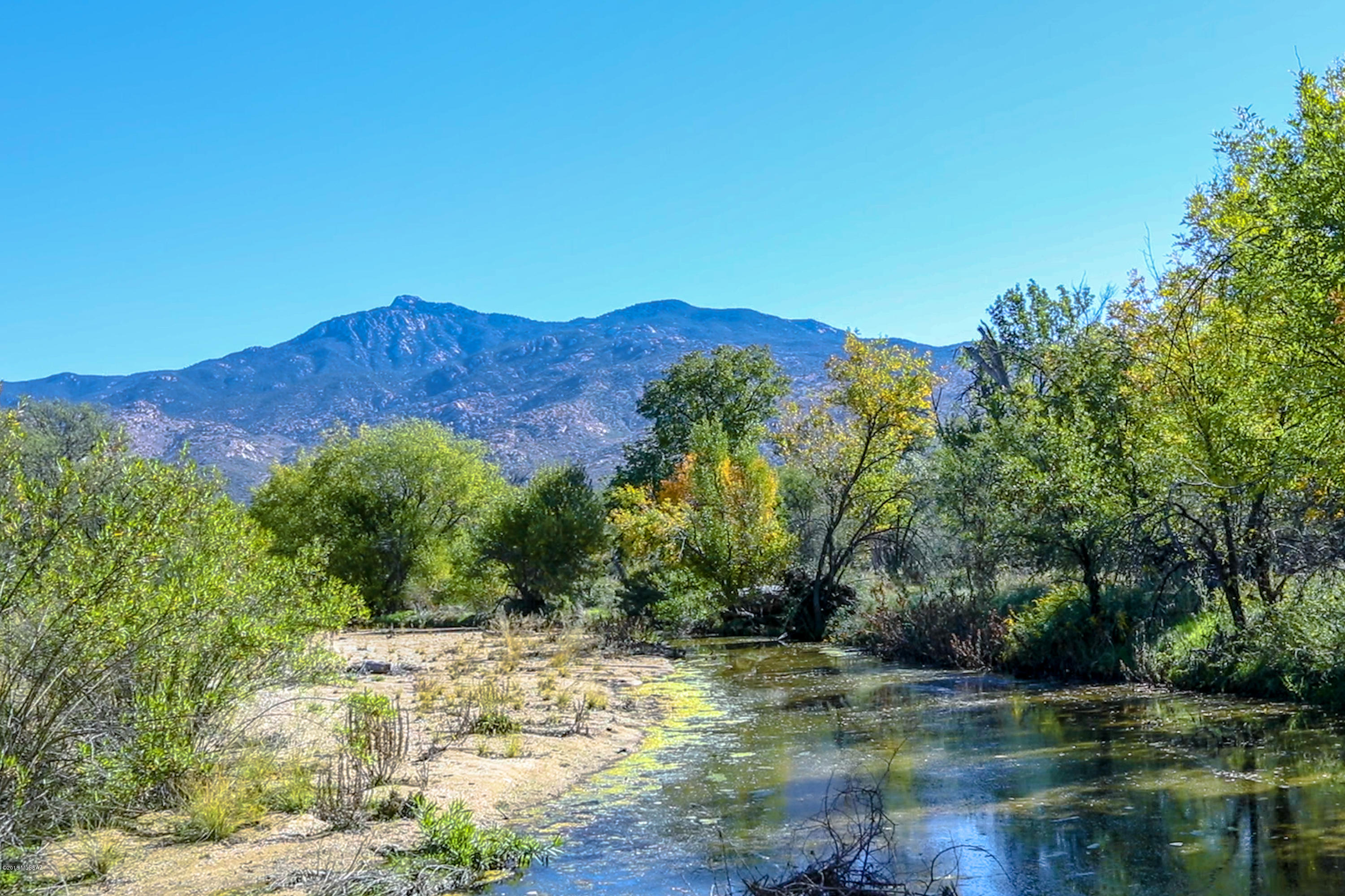 Situated in the cactus-laden, gentle rolling hills of the Rincon Mtns,  this truly special 46-acre home-site is located in the exclusive gated community of X-9 Ranch.  A community comprised of 40+ acre home-sites & embraced on 3 sides by the famous Saguaro Nat'l Park East. This elevated home-site provides desert vistas that stretch for miles in every direction.  Build your dream home in perfect harmony w/ nature on the Chimenea Creek which runs through the property.  This private & peaceful piece of the Sonoran Desert is a short walk or ride to incredible hidden treasures like waterfalls, pools & riparian wildlife.  The trails are endless & the drama of the Sonoran Desert is spectacular.  The winters are mild, the spring is colorful &  summers are lush. Clean & clear air provides magnificent sunsets & magical evenings under the stars. Bring your horses, mountain bikes & hiking shoes and be prepared to see the most beautiful and Intriguing land in the Sonoran Desert.