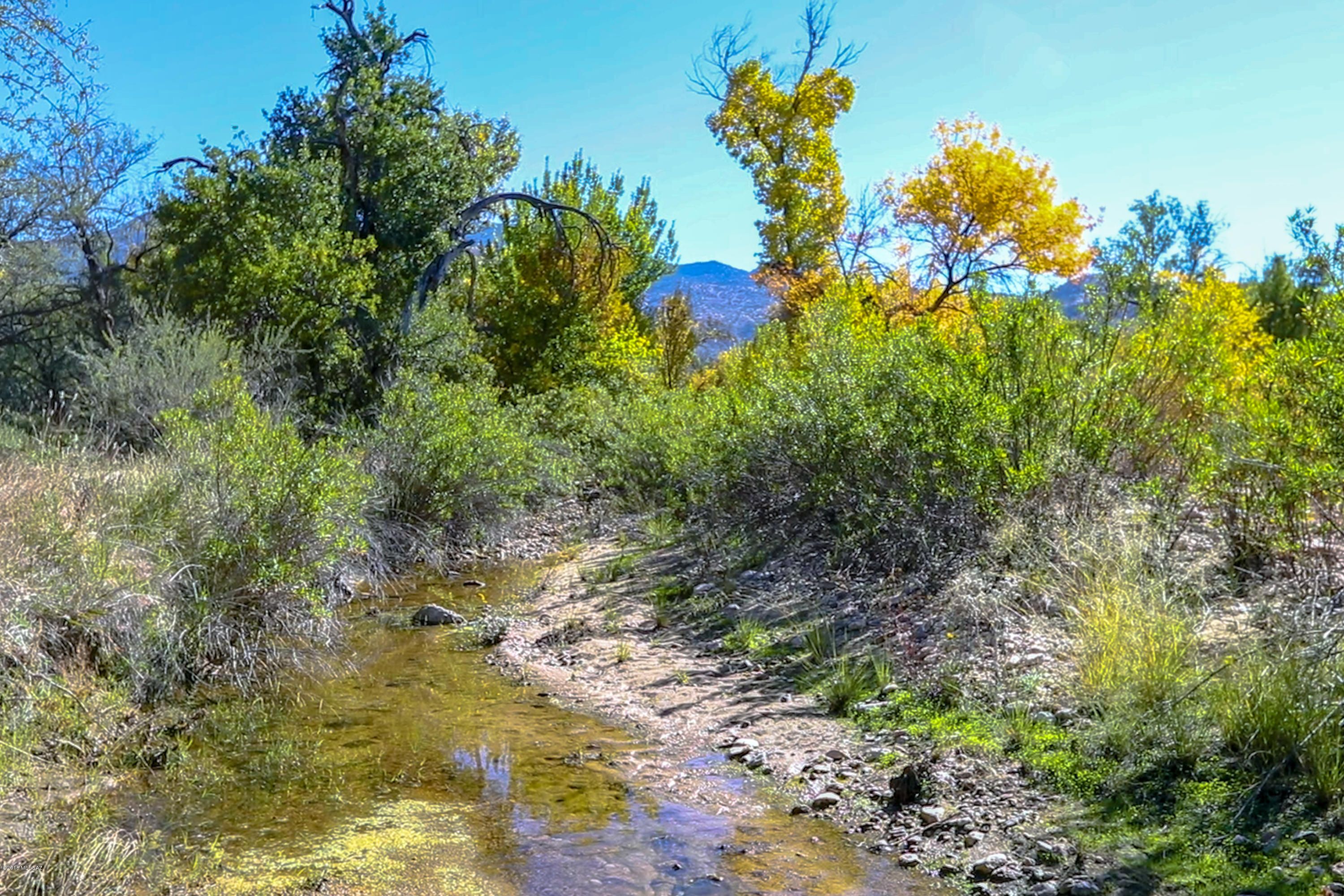X9 Ranch - Land