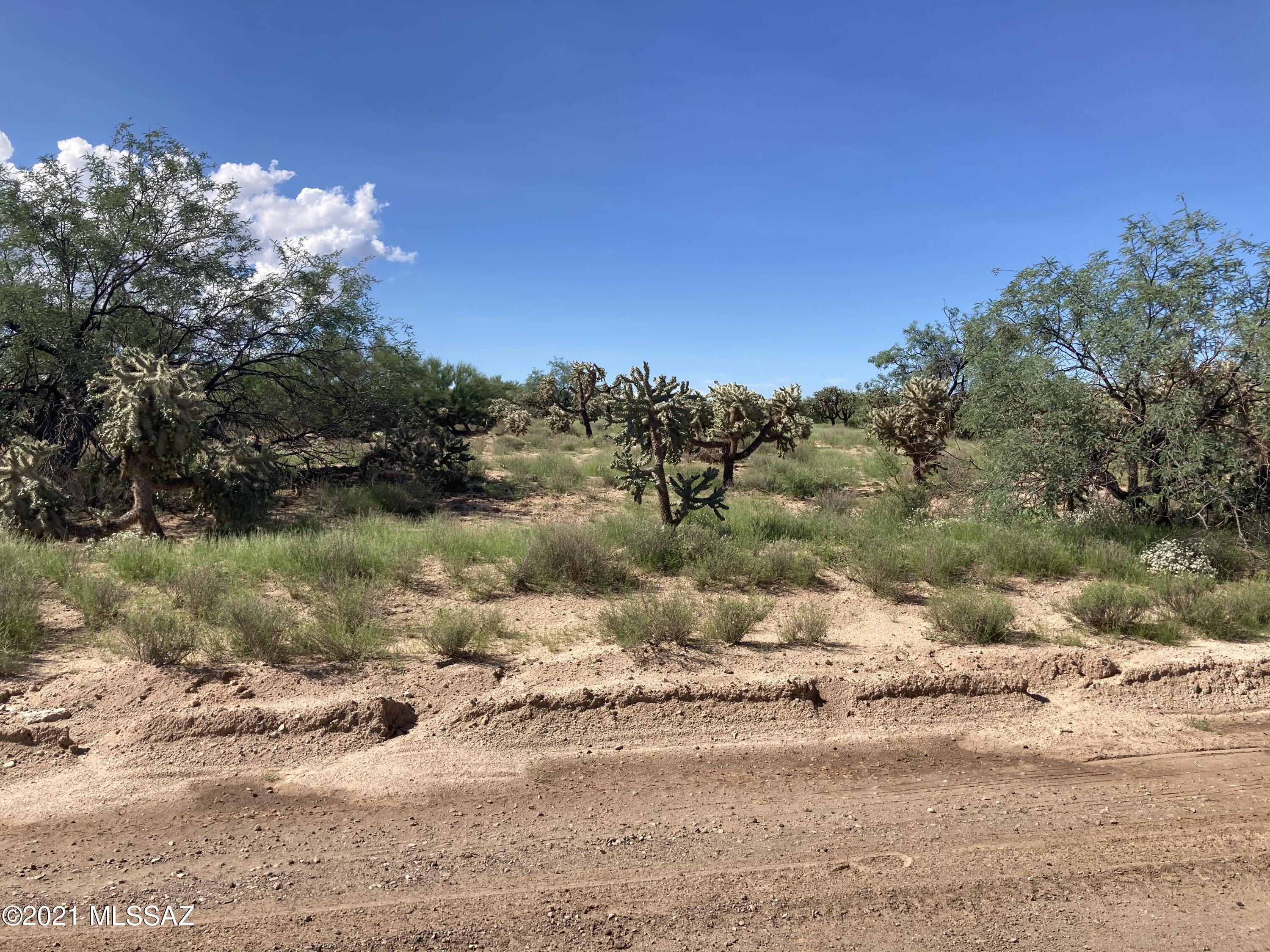 Diamond Bell Ranch - Tucson (1-229) - Land