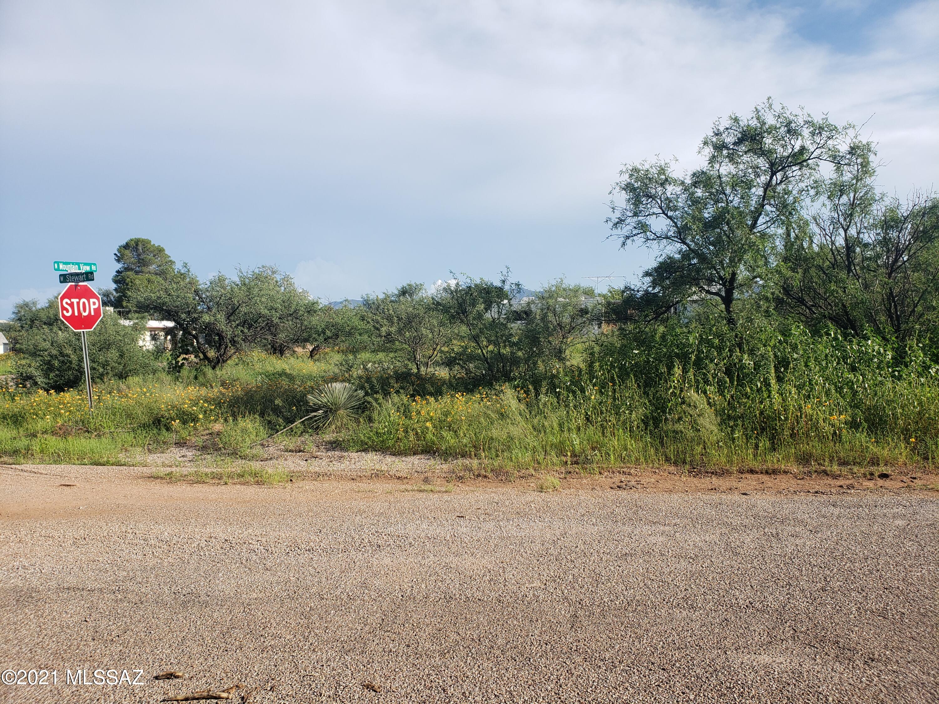 Vacant land with some trees on a nice corner with paved roads.