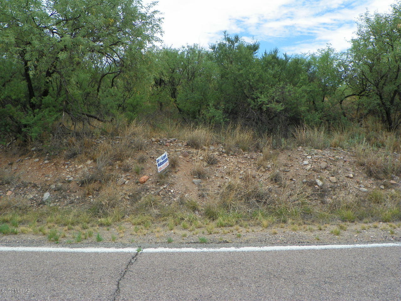 Rio Rico Ranchettes 10 - Land