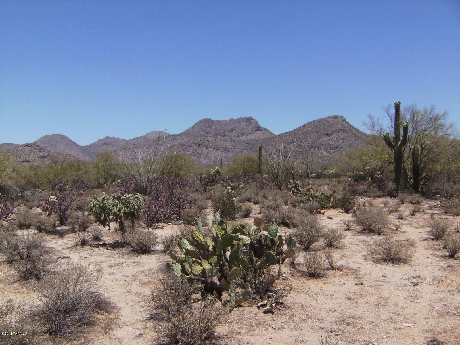 Gorgeous lot in the exclusive gated community of Butterfly Mountain. Offering 360 degree views of mountains and city lights, tons of privacy, easy to build lot without tons of expensive lot prep (which will save you money) and surrounded by beautiful custom homes.  Located between prestigious Dove Mountain and Saguaro Ranch.  Very convenient to shopping and access to the I-10. Don't miss out on this gem in the desert. Call agent to walk this lot with you. One seller is Licensed Realtor