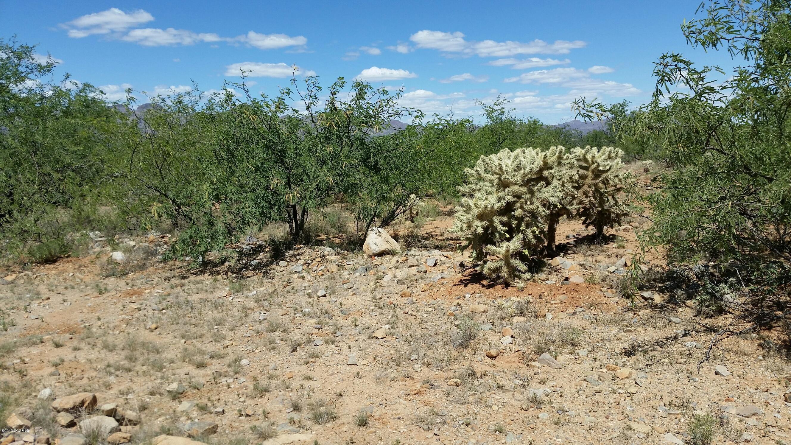 Rio Rico Ranchettes 18 - Land