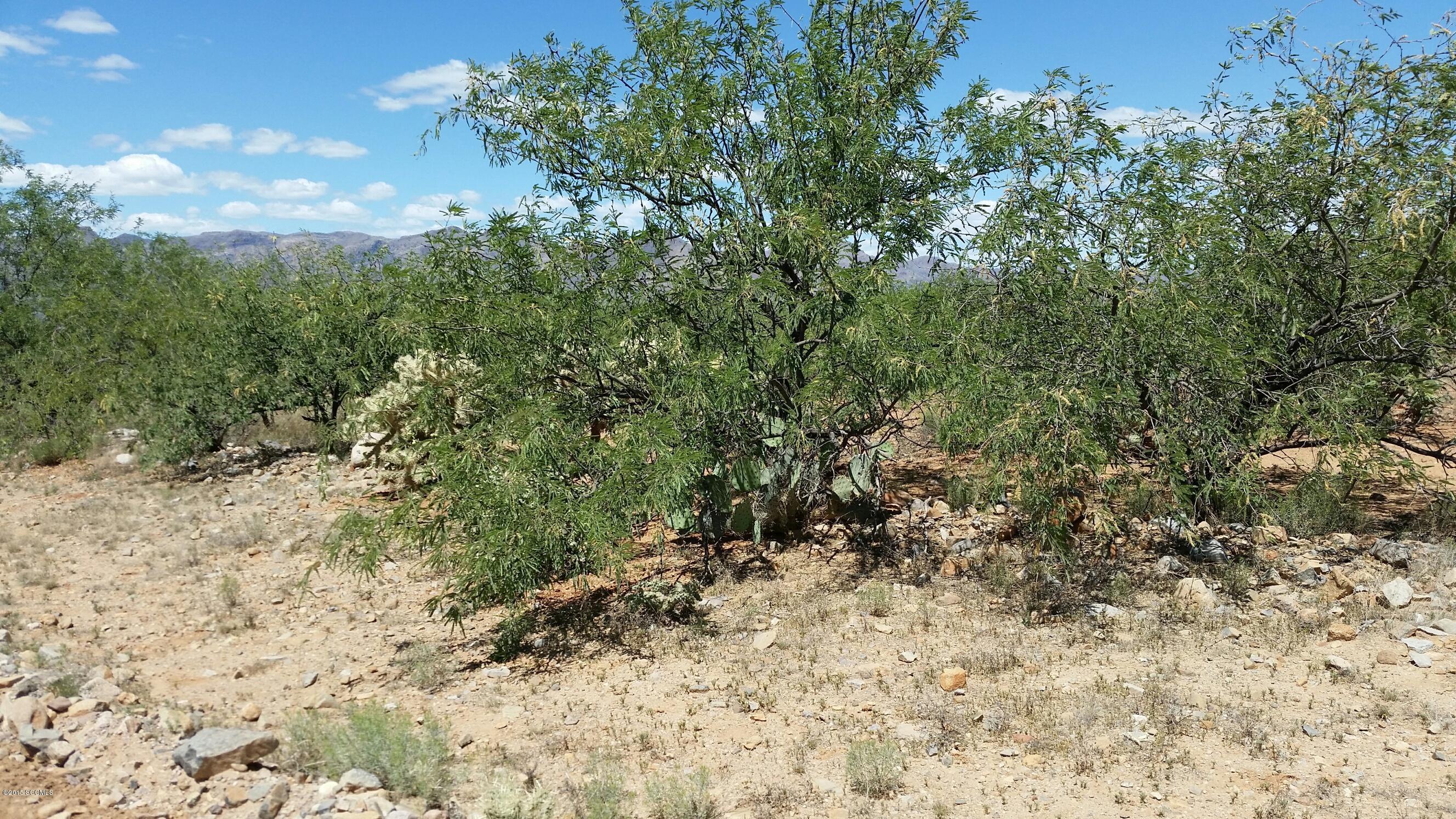 Rio Rico Ranchettes 18 - Land