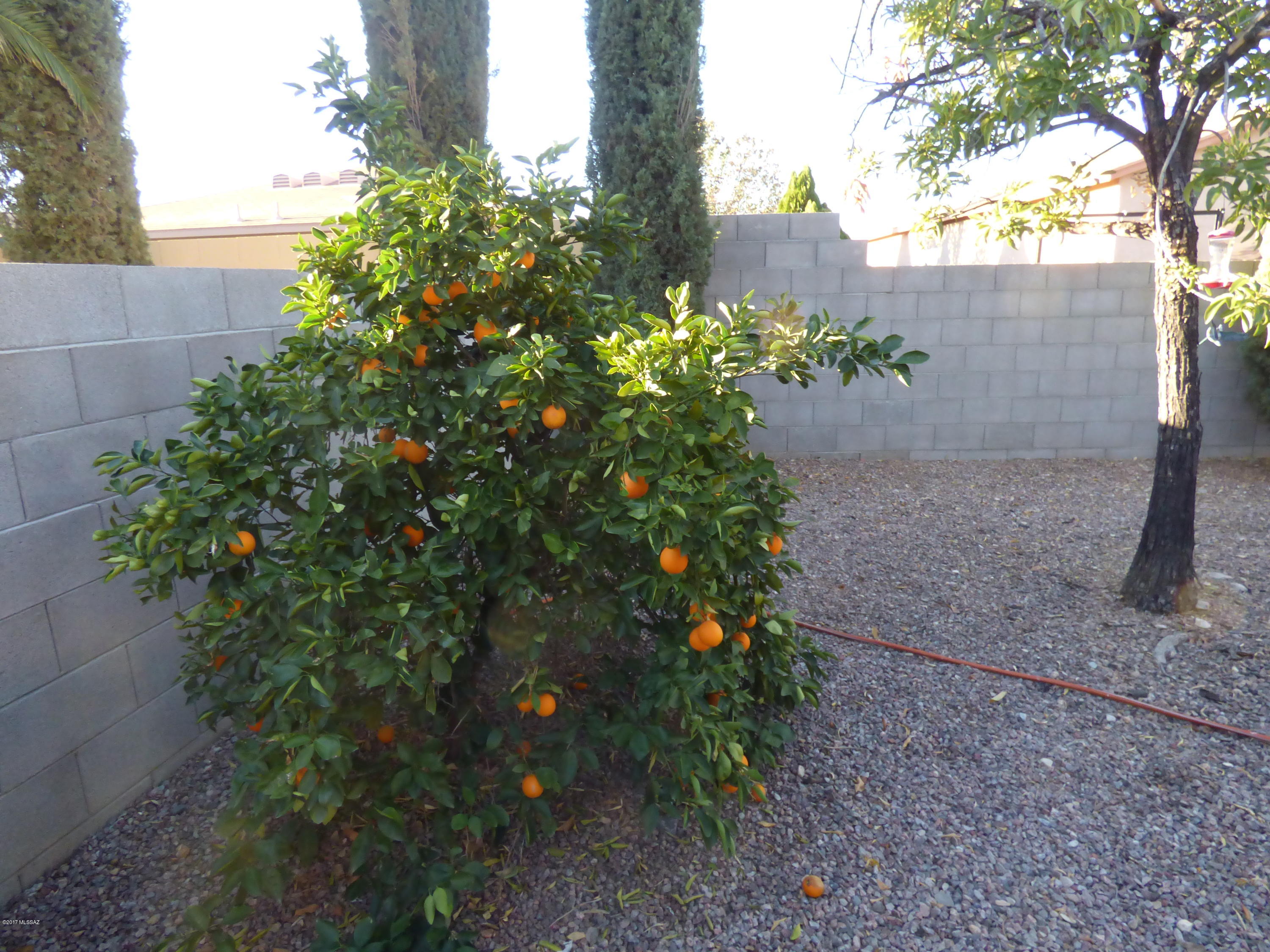 Fairway Groves At Wingate - Residential Lease