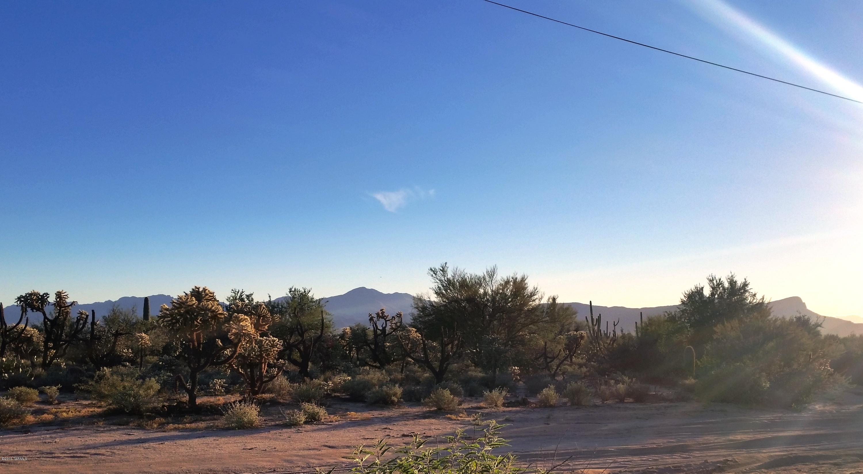 Wonderful homesite located between two beautiful custom homes.  The homsite has mature desert vegetation and scenic views.  Located in the quickly developing area off Twin Peaks.  Electric, Telephone, and Well at the lot line.