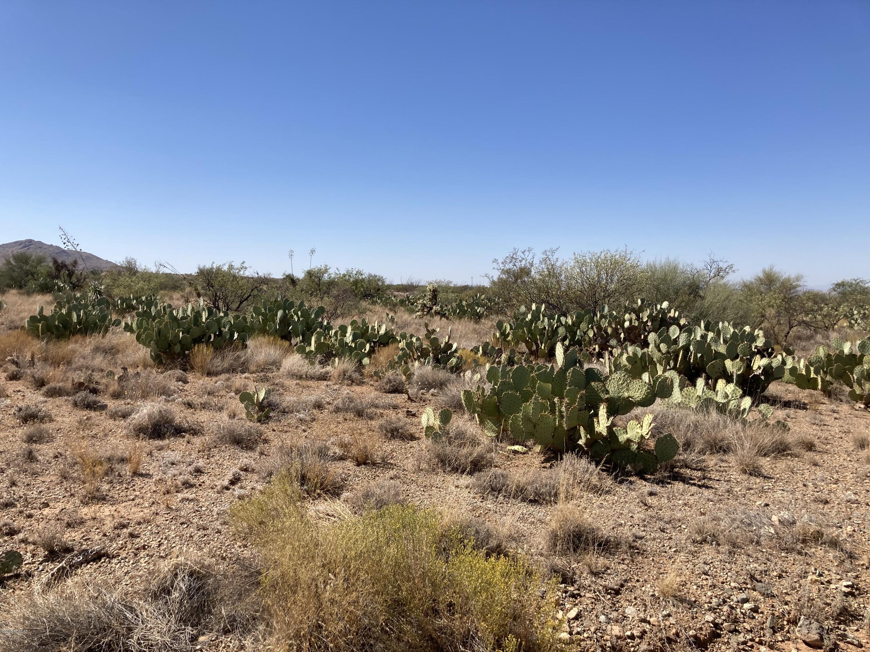 Level cactus studded 1 1/4 building lot off Wentworth - a couple of new builds are in the area - build your dream home here - great location