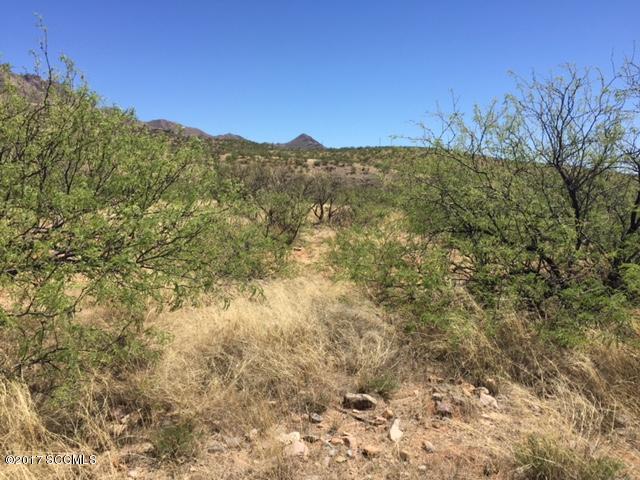 Beautiful residential building lot. Quick access to Interstate 19. Great views from front and back. Priced to sell fast.