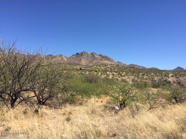 Rio Rico Ranchettes 17 - Land