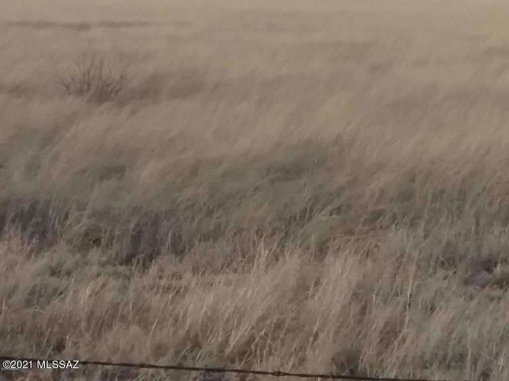 Other/Unknown - Land