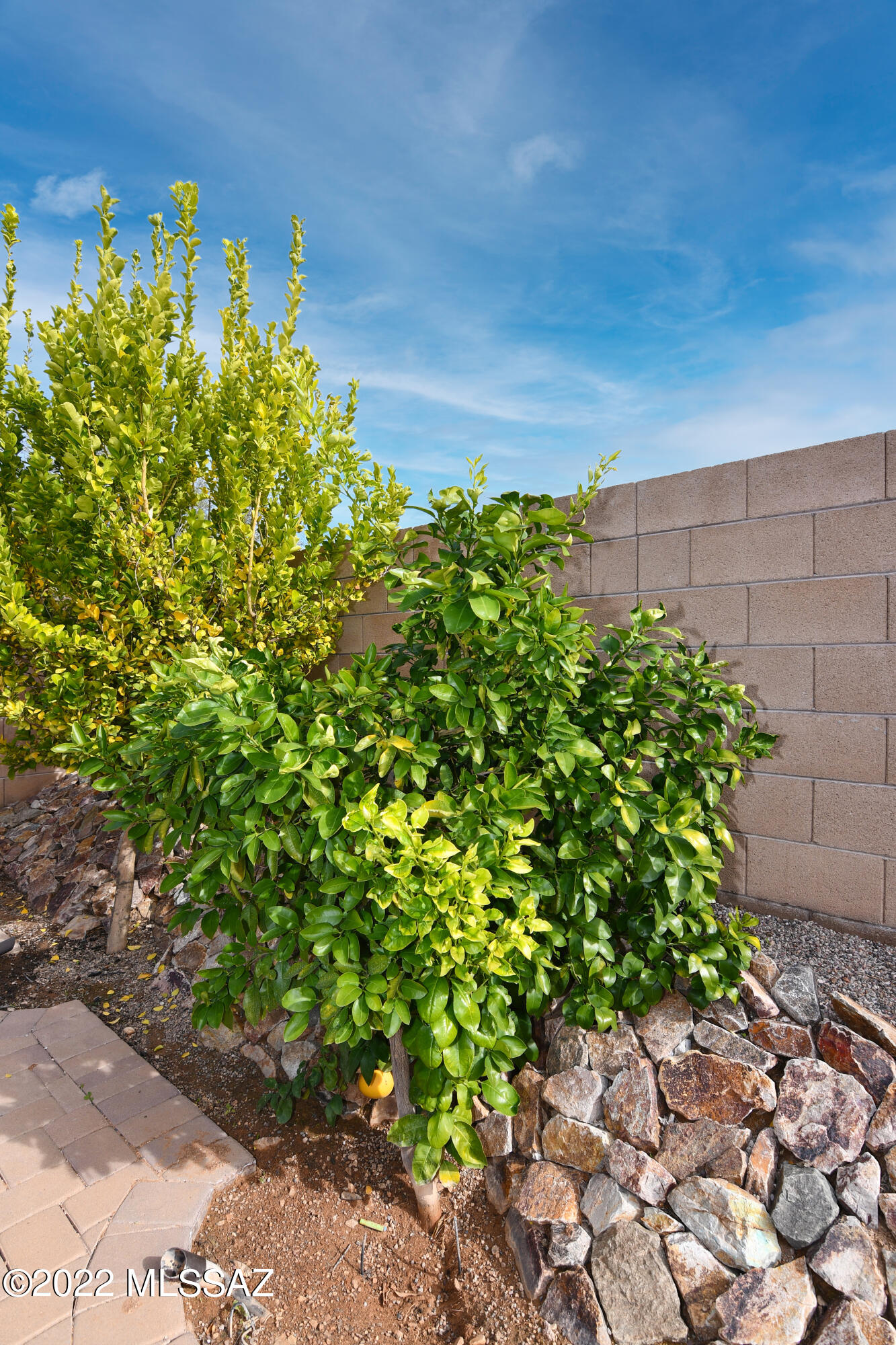 Continental Reserve Blk. 15 (1-66) - Residential