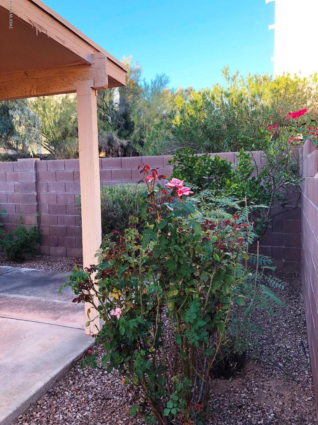 Pima Hollow Patio Homes - Residential