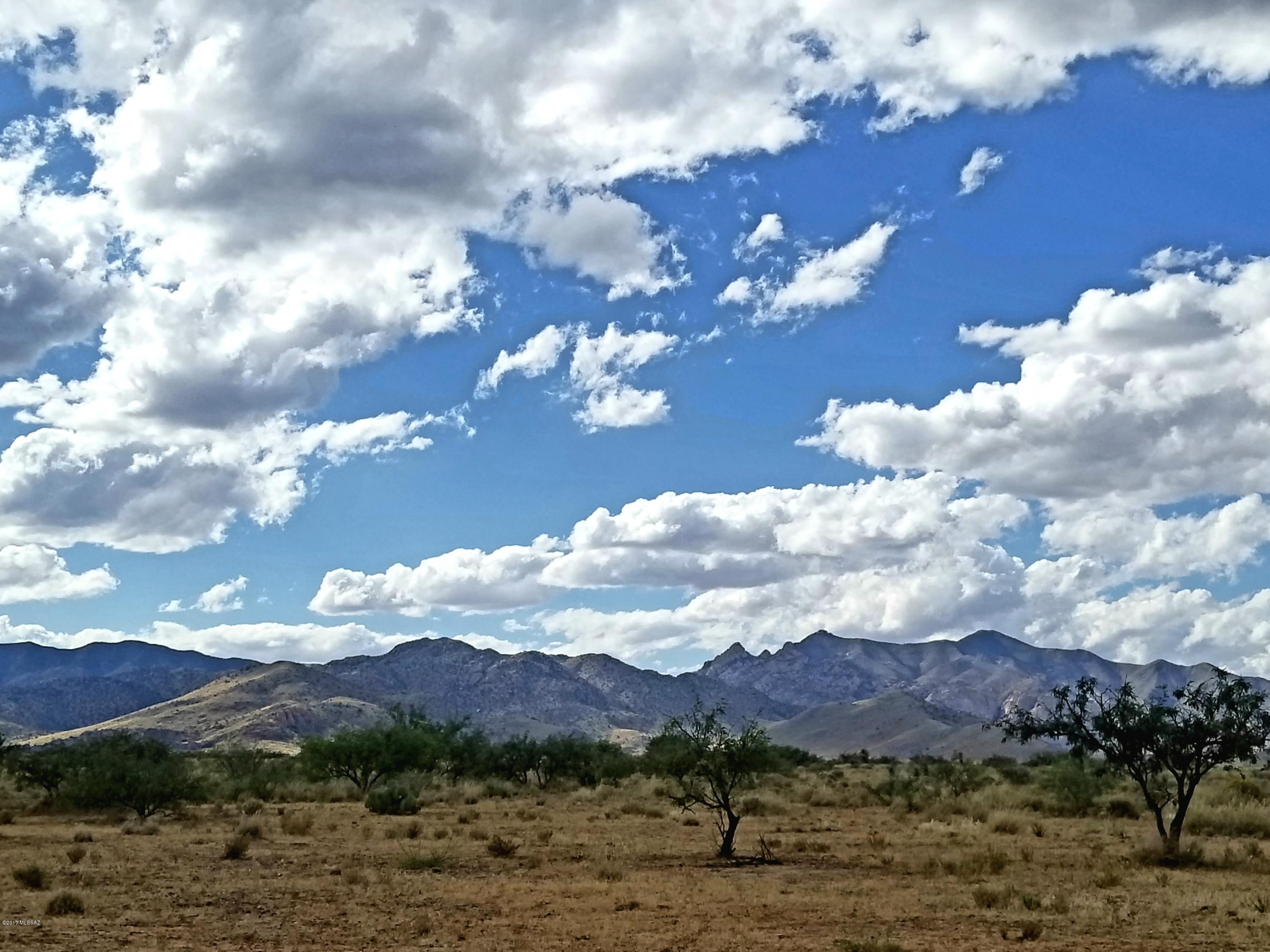 A Beautiful scenic property lies behind the Ghost Town Pearce. Gorgeous views in all directions. County Maintained dirt road in front of the property for easy access. Lock in your 4 X 4 and travel into the old ghost town (around 7 miles) or travel to Tombstone on Middle March rd (around 20 miles). Go Horseback riding into the beautiful mountains and hills nearby. Enjoy the feeling of owning your own land!