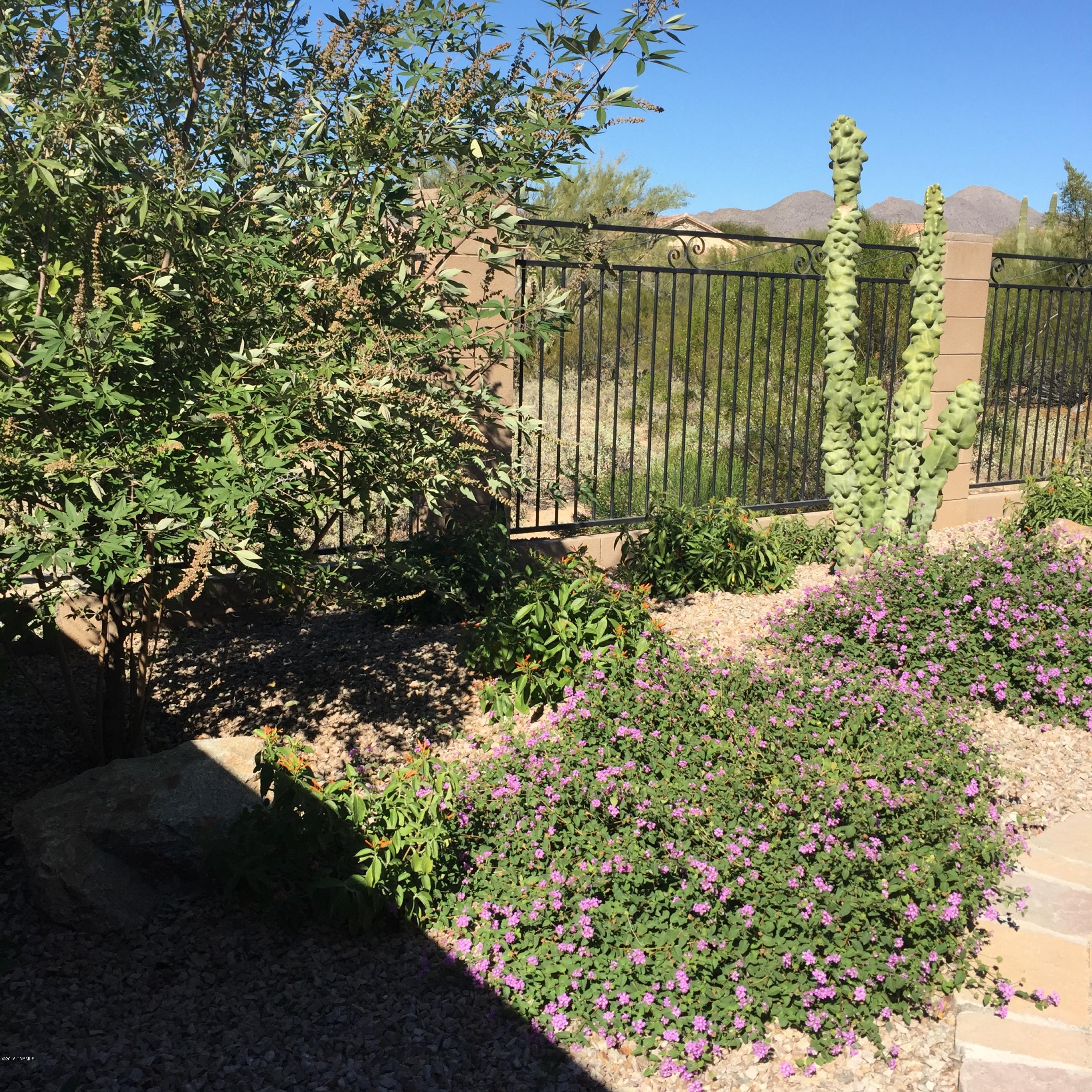 Preserve IV at Dove Mountain (487-529, 535-576, 606-650) - Residential Lease