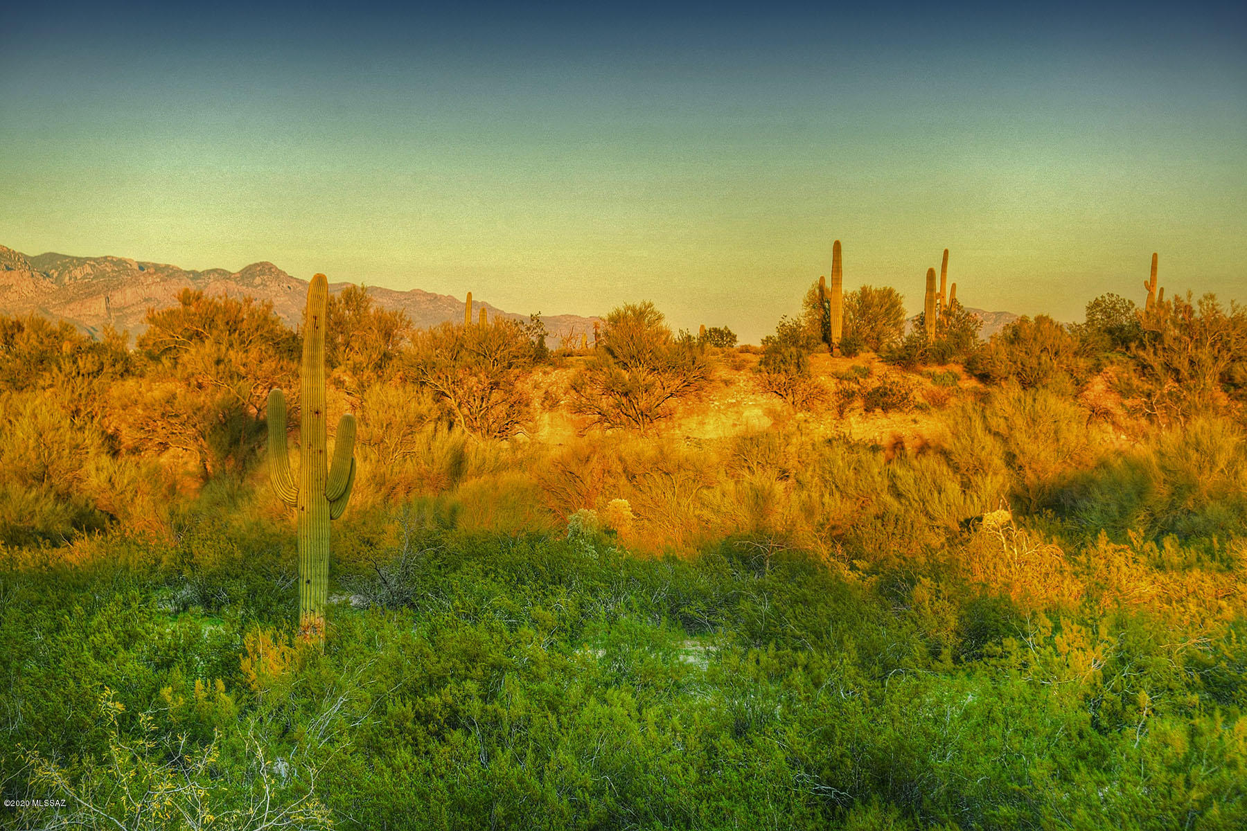 North Desert Hills (1-47) - Residential