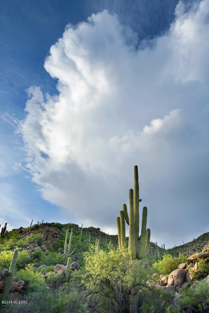 Canyon Pass At Dove Mountain - Land