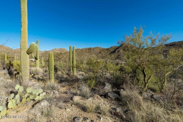 Canyon Pass At Dove Mountain - Land