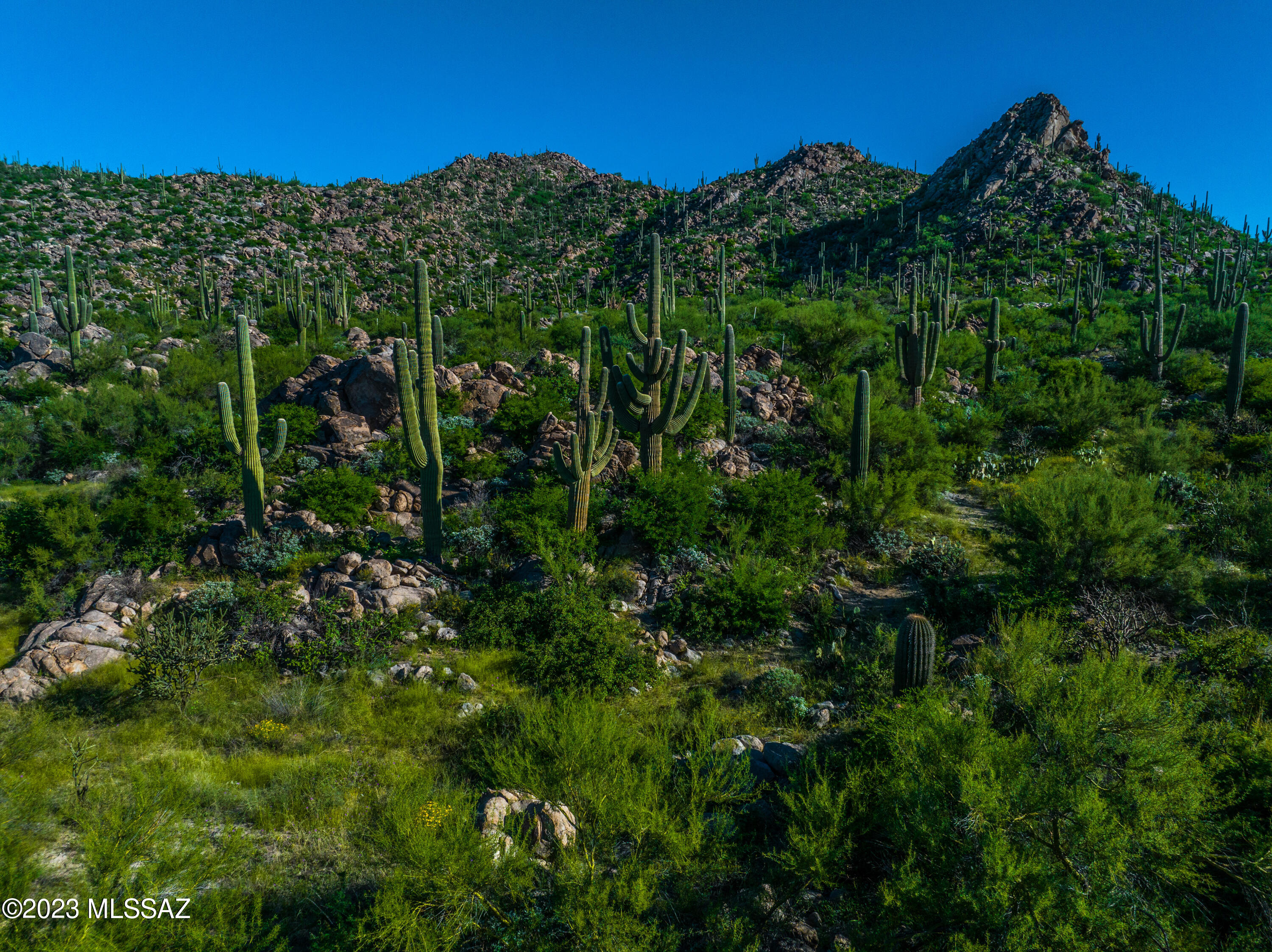 Stone Canyon VII (404-485) - Land