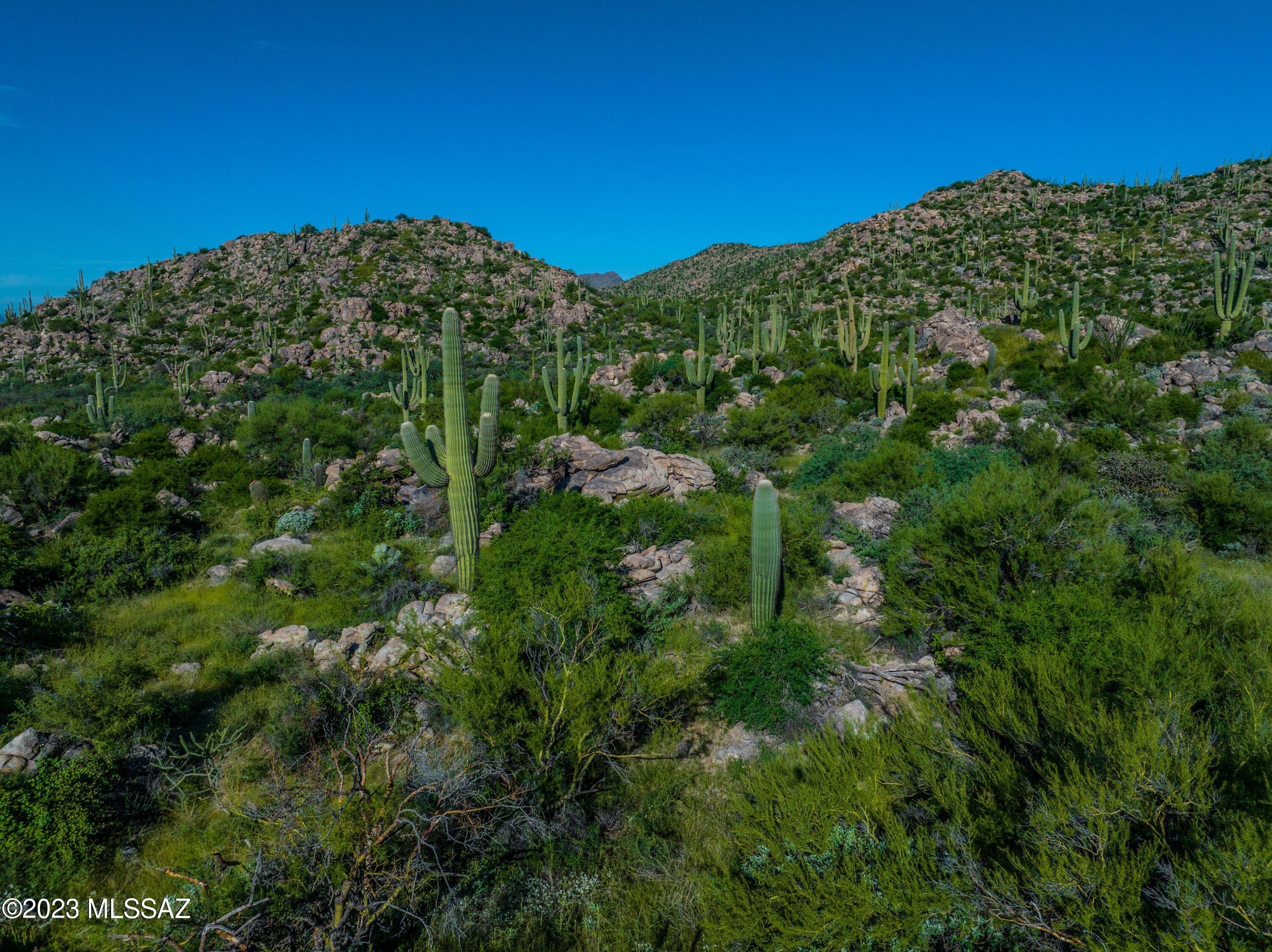 Stone Canyon VII (404-485) - Land