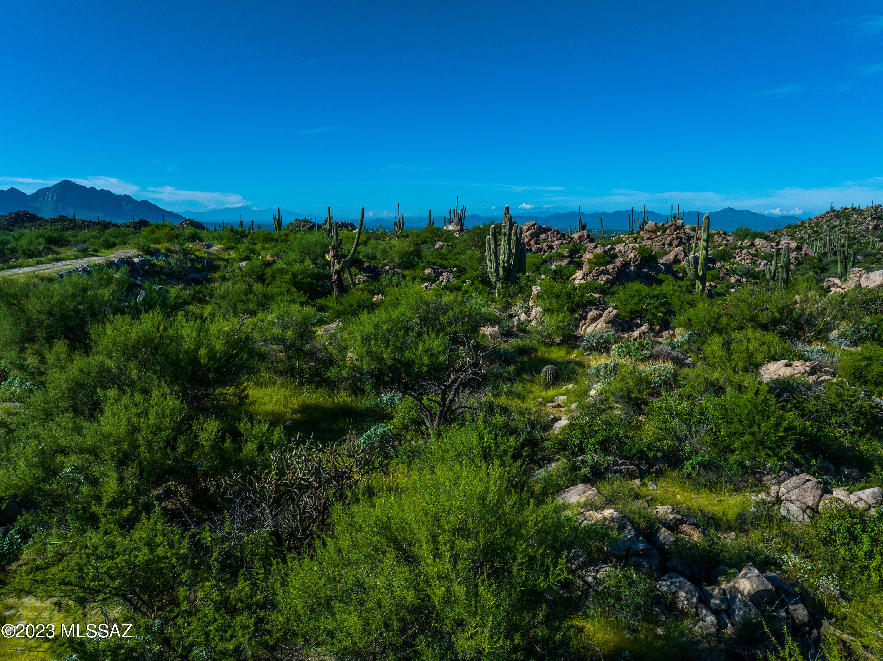 Stone Canyon VII (404-485) - Land