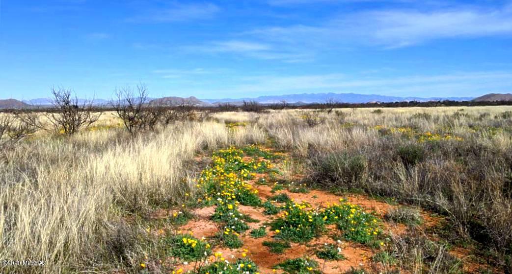 Arizona Sun Sites - Land
