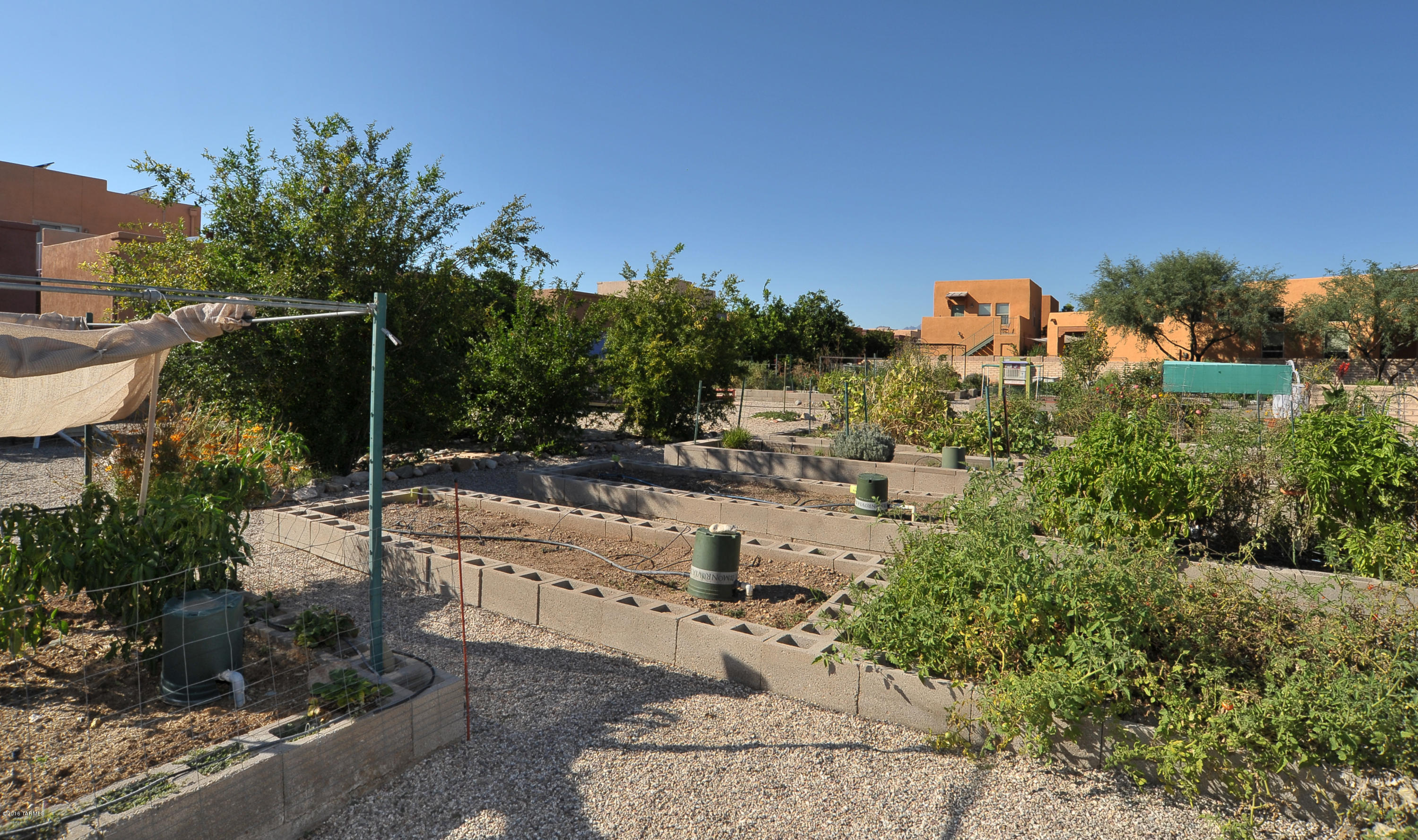Sierra Morado Unit 2 West - Residential