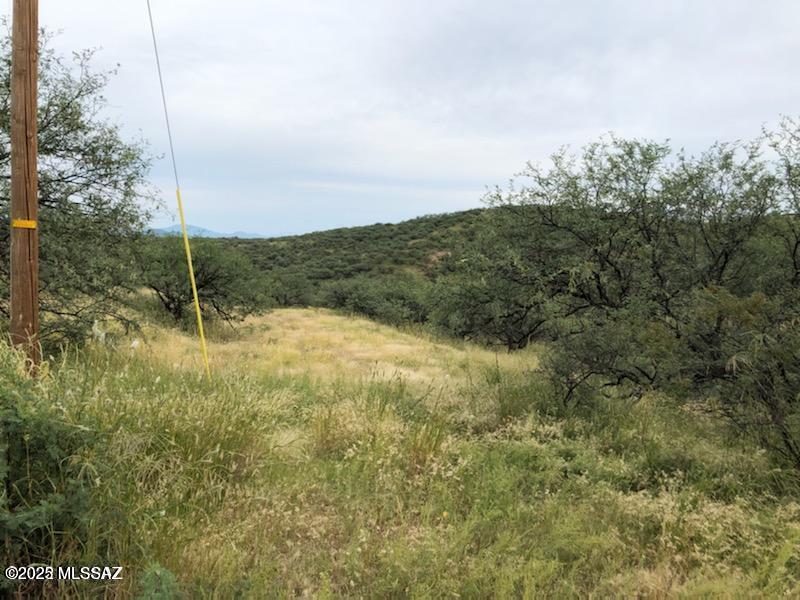 Rio Rico Ranchettes 5 - Land