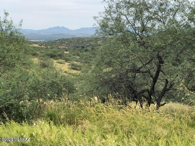 Rio Rico Ranchettes 5 - Land