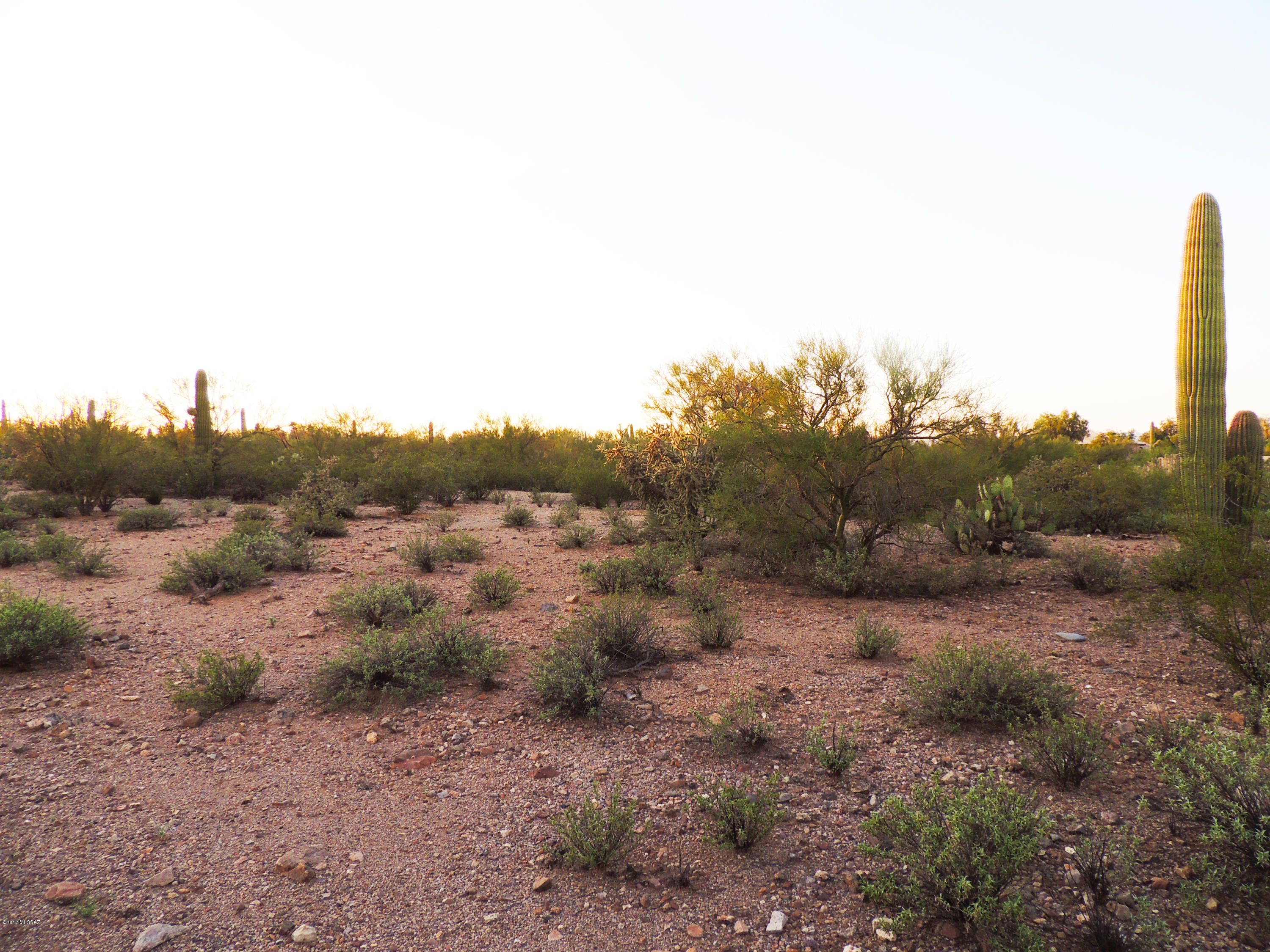Agua Dulce (1-60) - Land