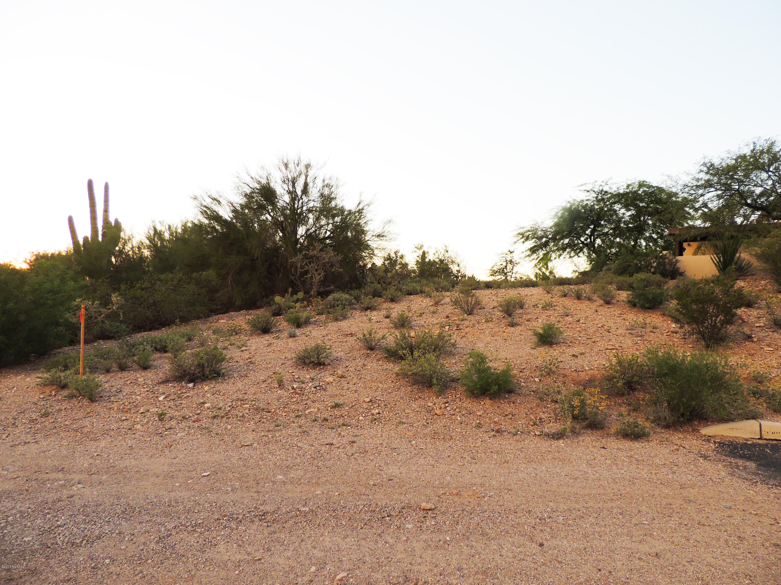 Agua Dulce (1-60) - Land