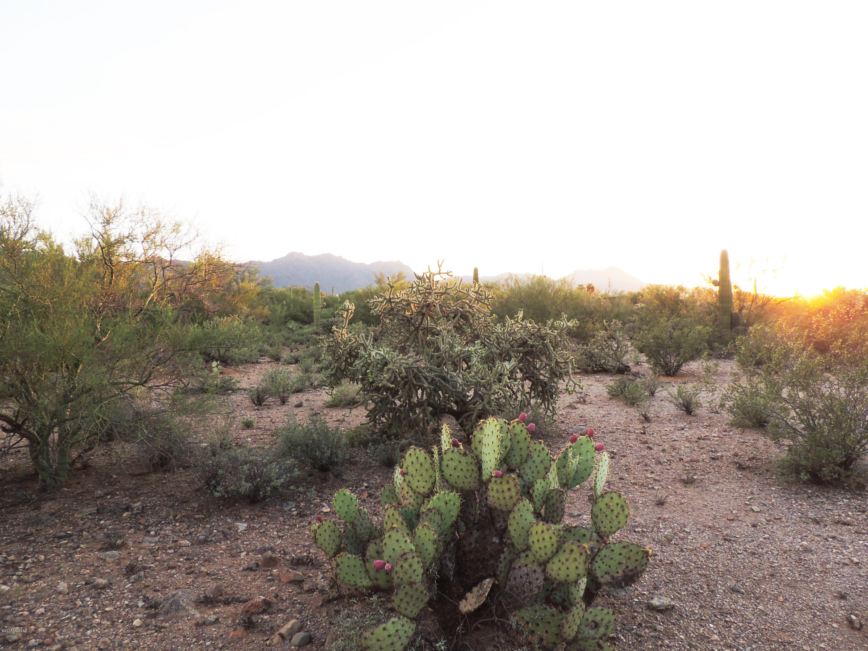 Agua Dulce (1-60) - Land