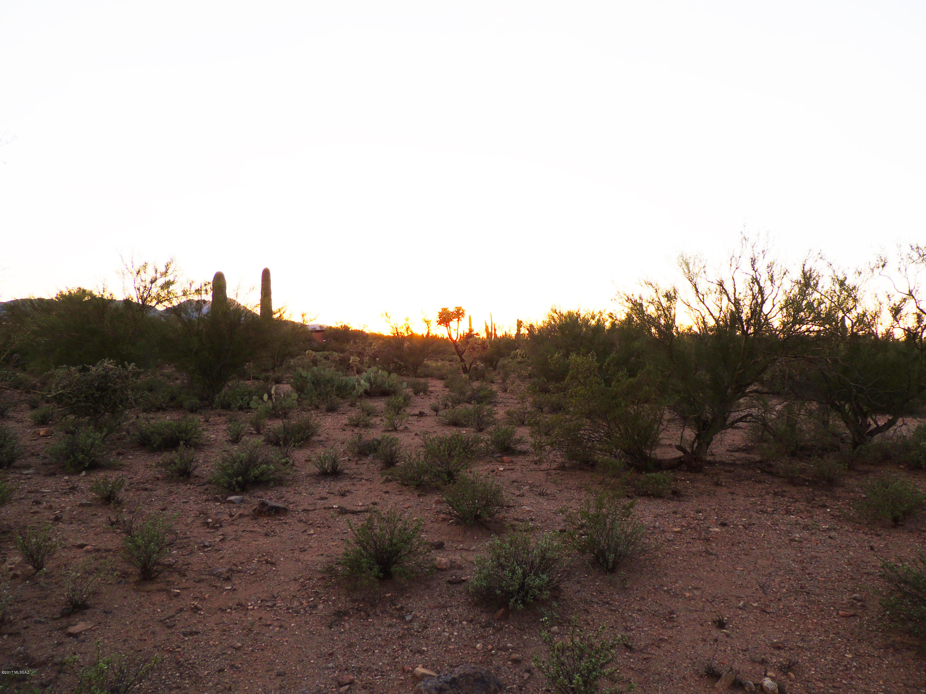 Agua Dulce (1-60) - Land