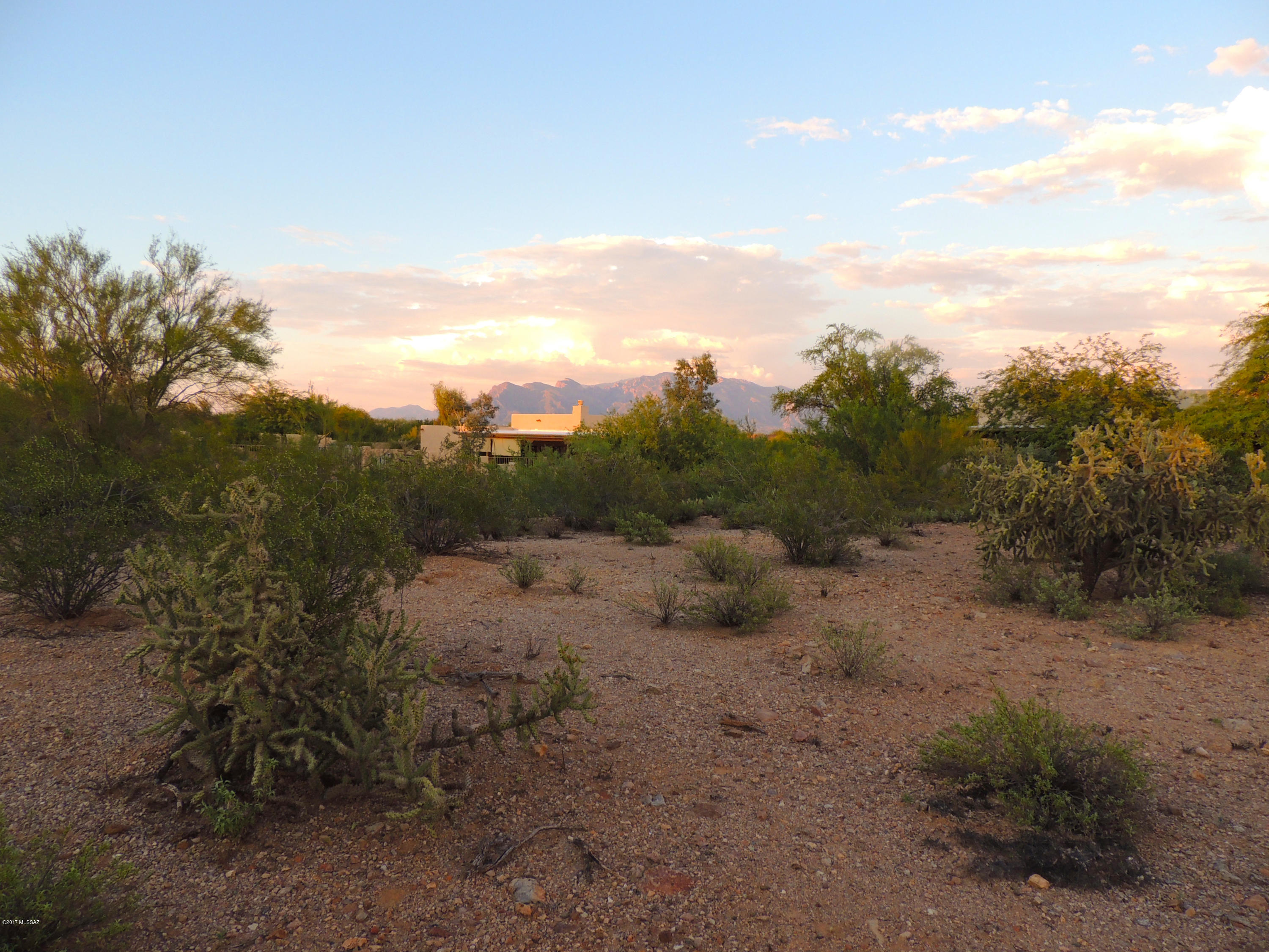 Agua Dulce (1-60) - Land