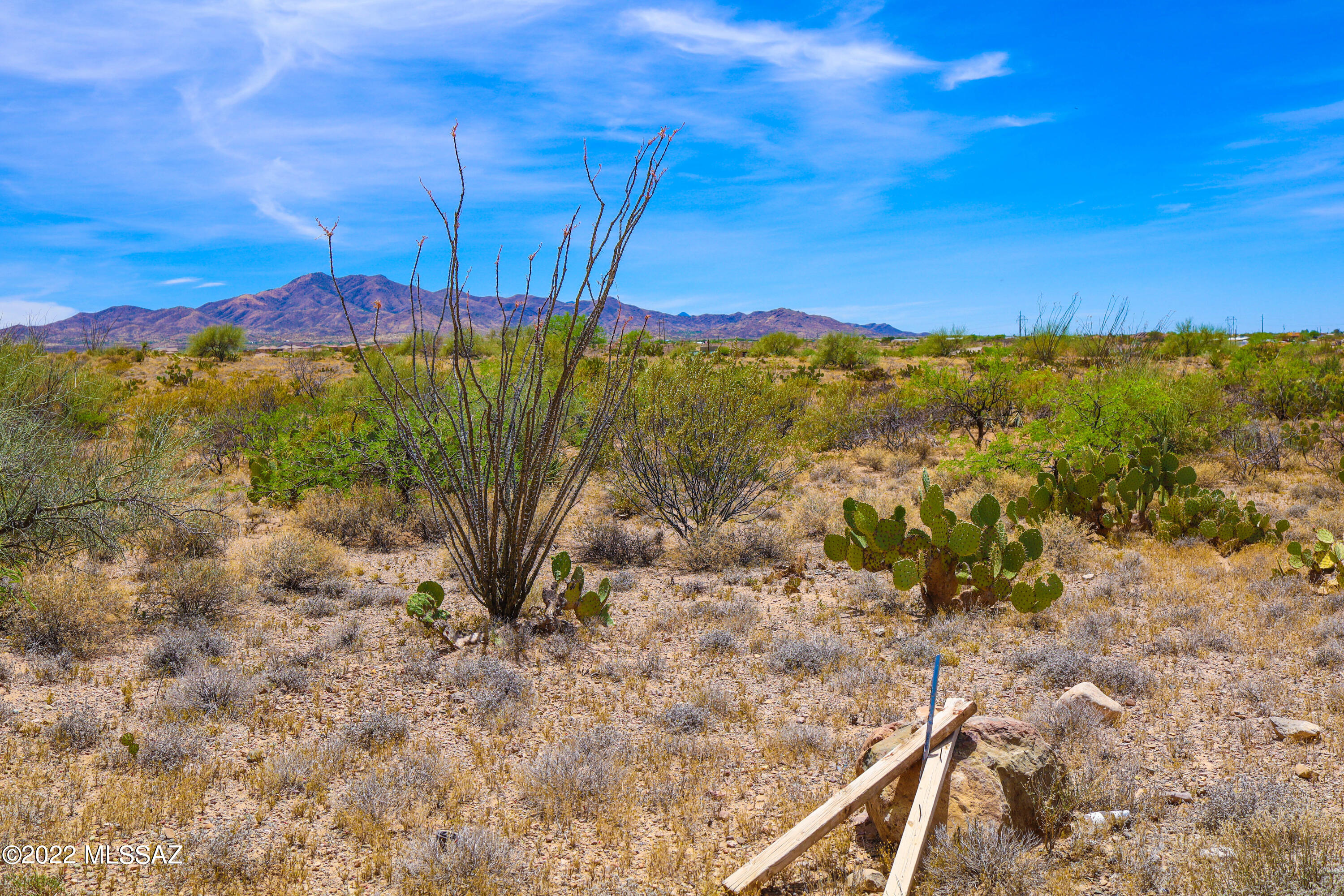 Rincon View Estates (1-87) - Land