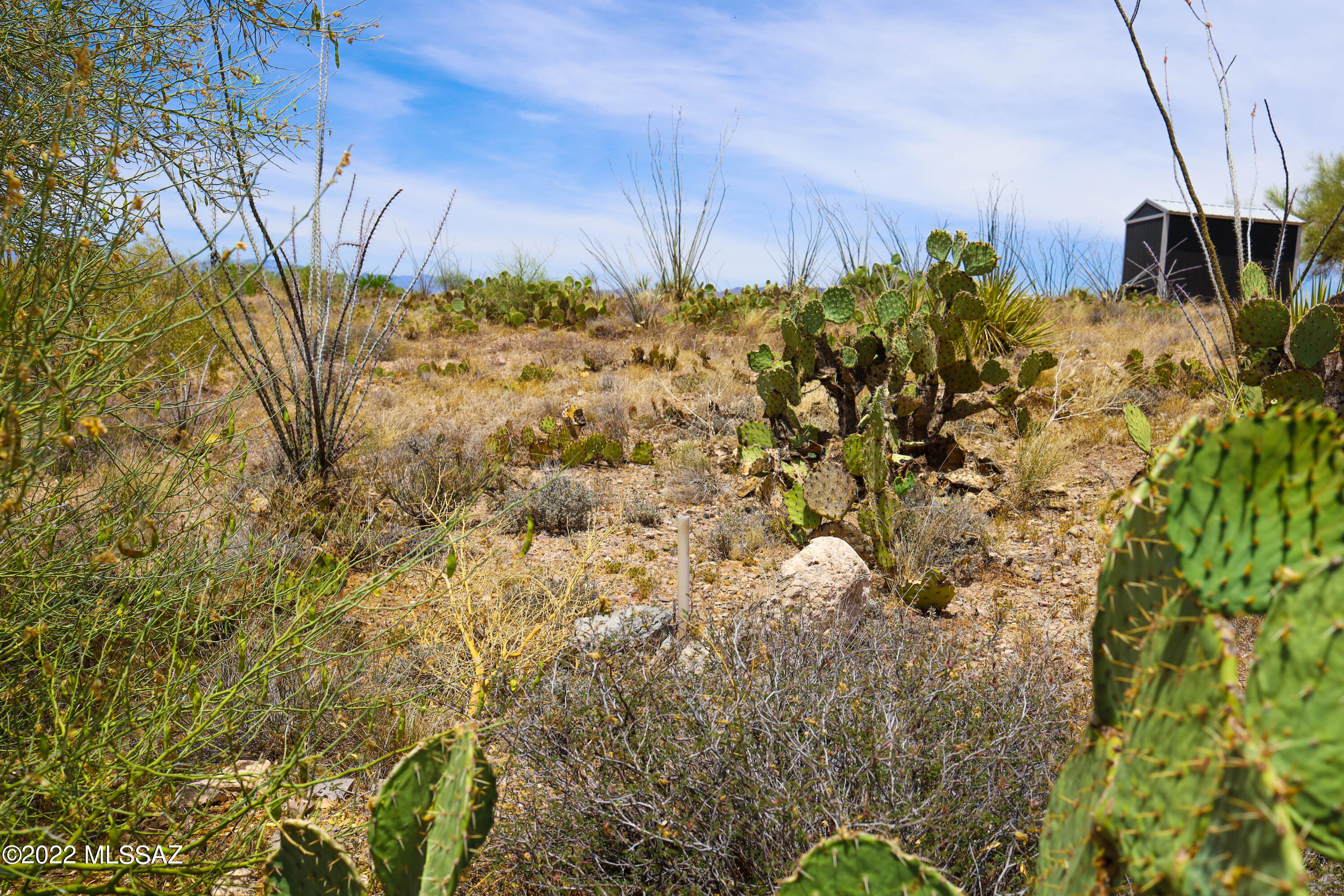 Rincon View Estates (1-87) - Land