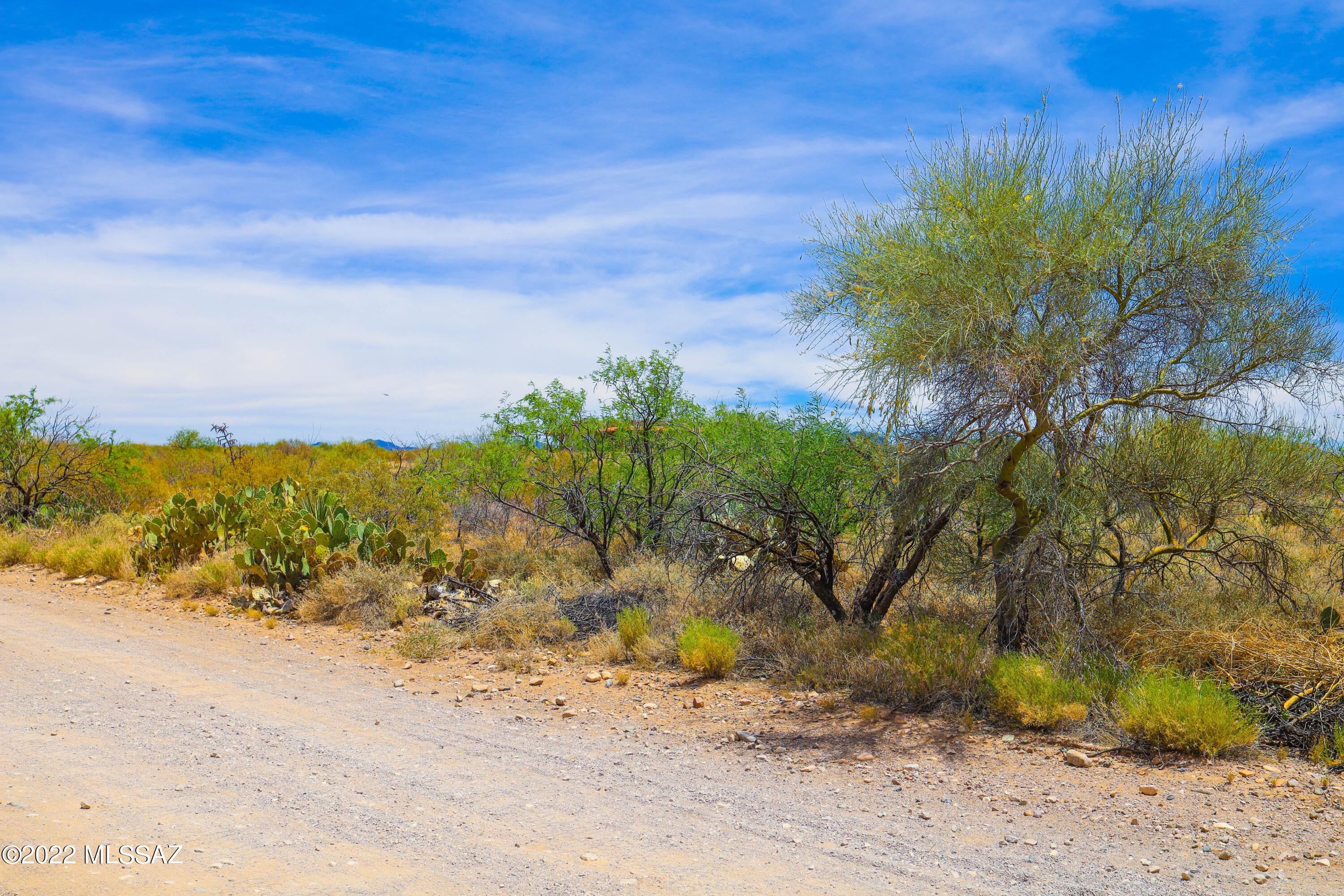 Rincon View Estates (1-87) - Land