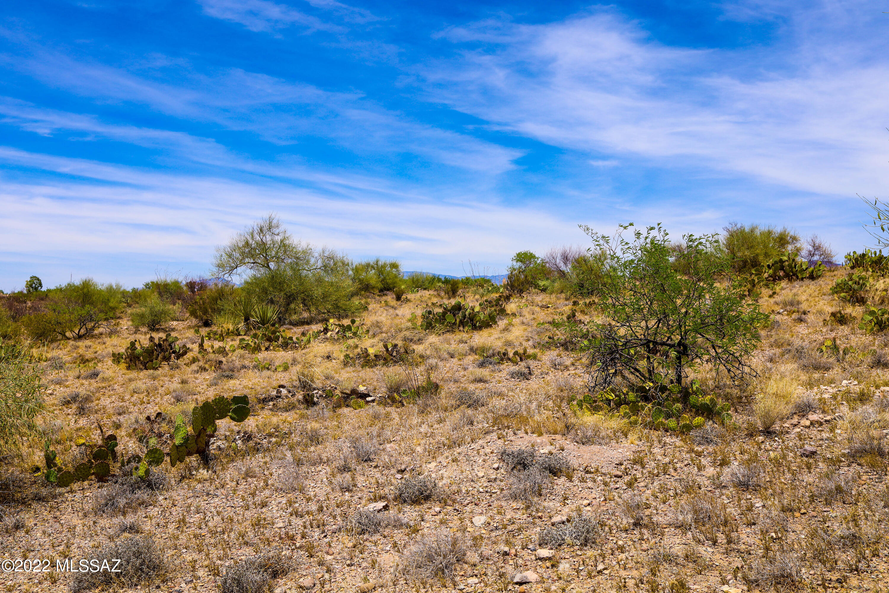 Rincon View Estates (1-87) - Land