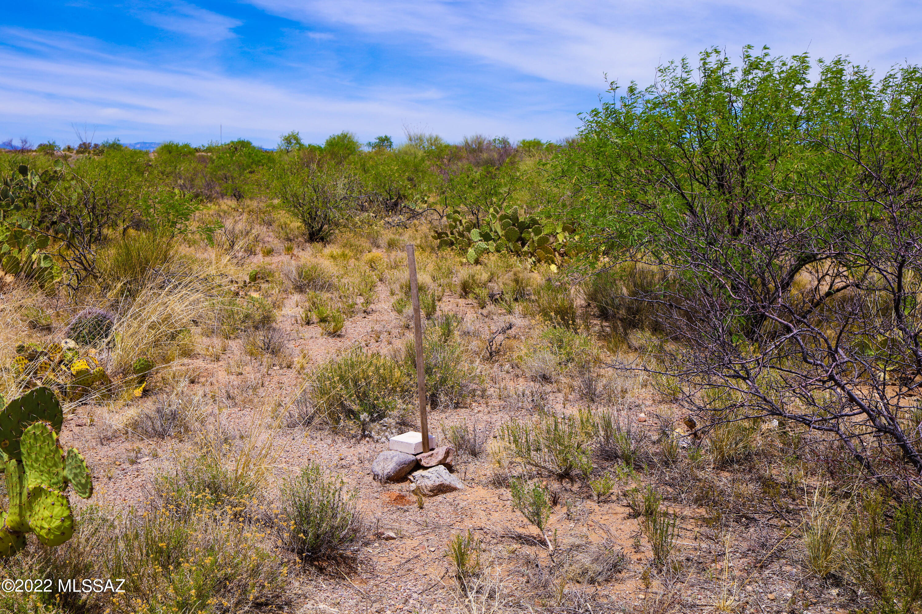 Rincon View Estates (1-87) - Land
