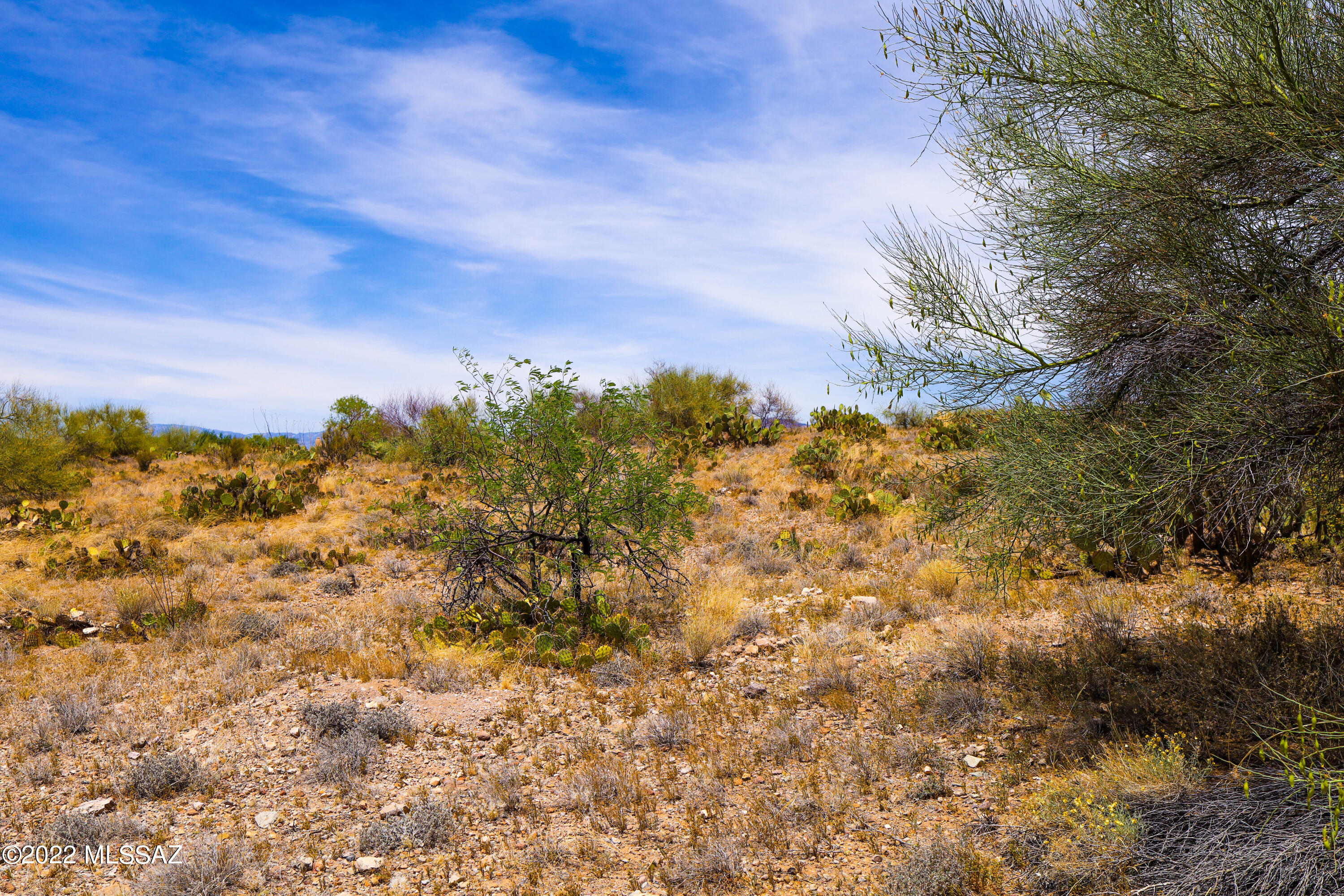 Rincon View Estates (1-87) - Land