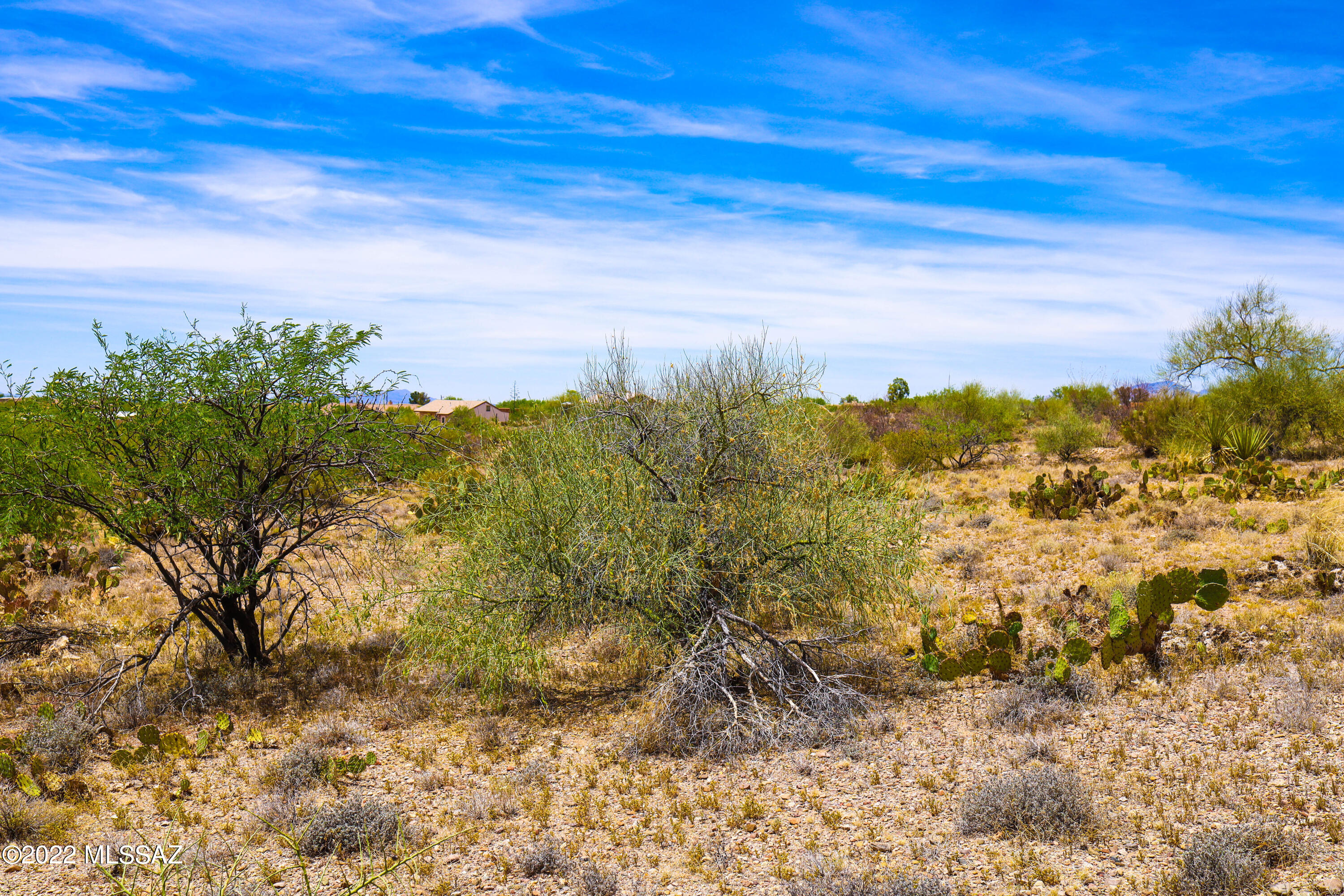 Rincon View Estates (1-87) - Land