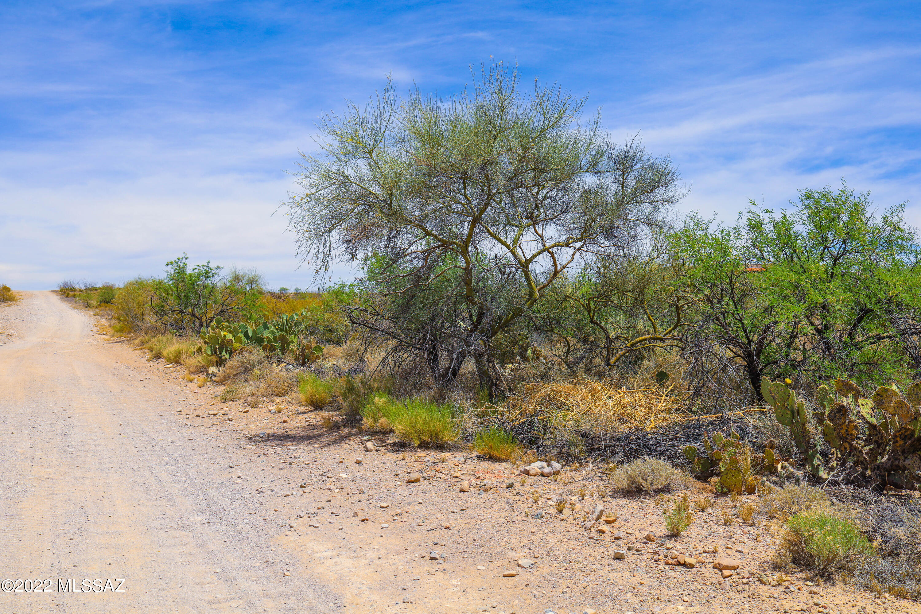 Rincon View Estates (1-87) - Land