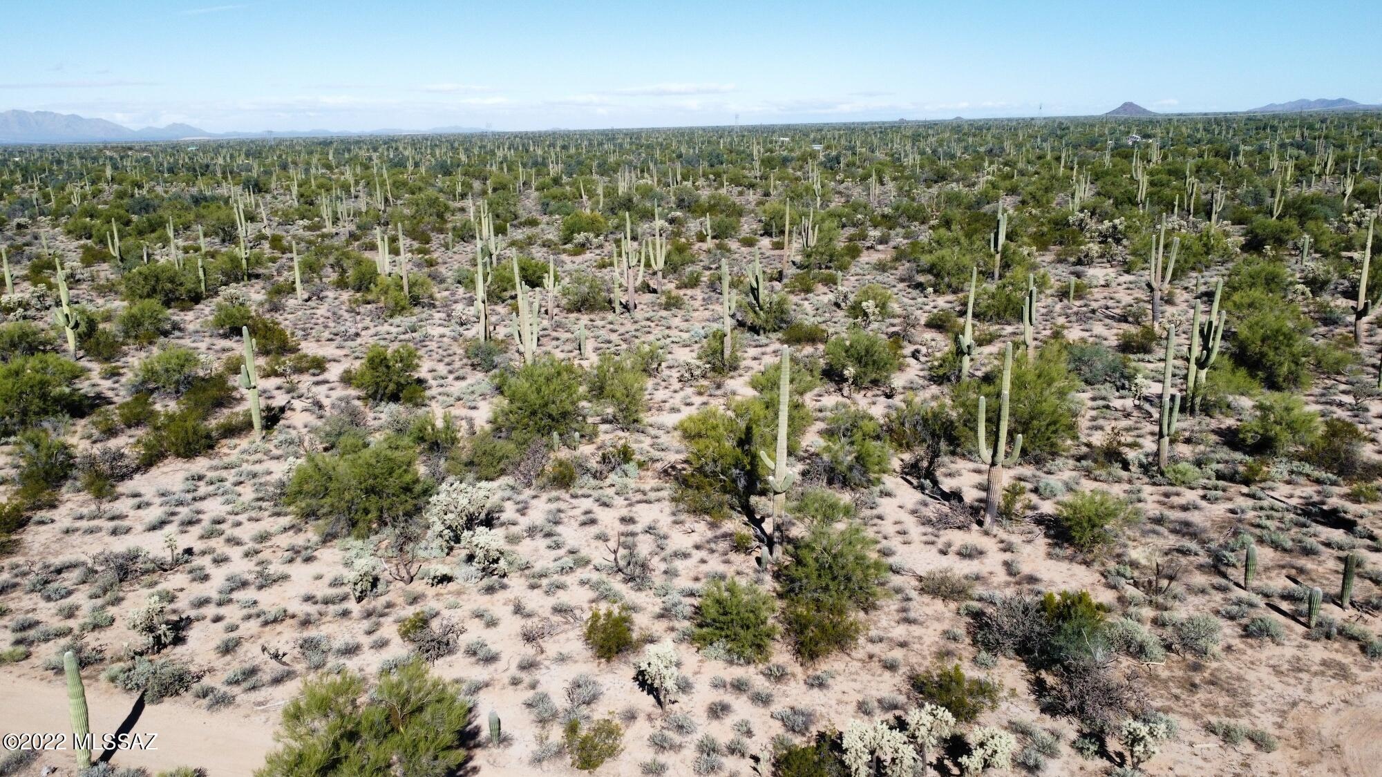 25 acres of beautiful off grid horse property. Peace and quiet surrounded by mature desert vegetation, uncountable saguaros and mountain views. Great opportunity to start your ranch or split and develop this 25-acre property. Far enough away but close enough to all the necessities and amenities. Not many large 25-acre parcels left in this area. Easy access. Vacant land, no utilities. Owner Financing available.