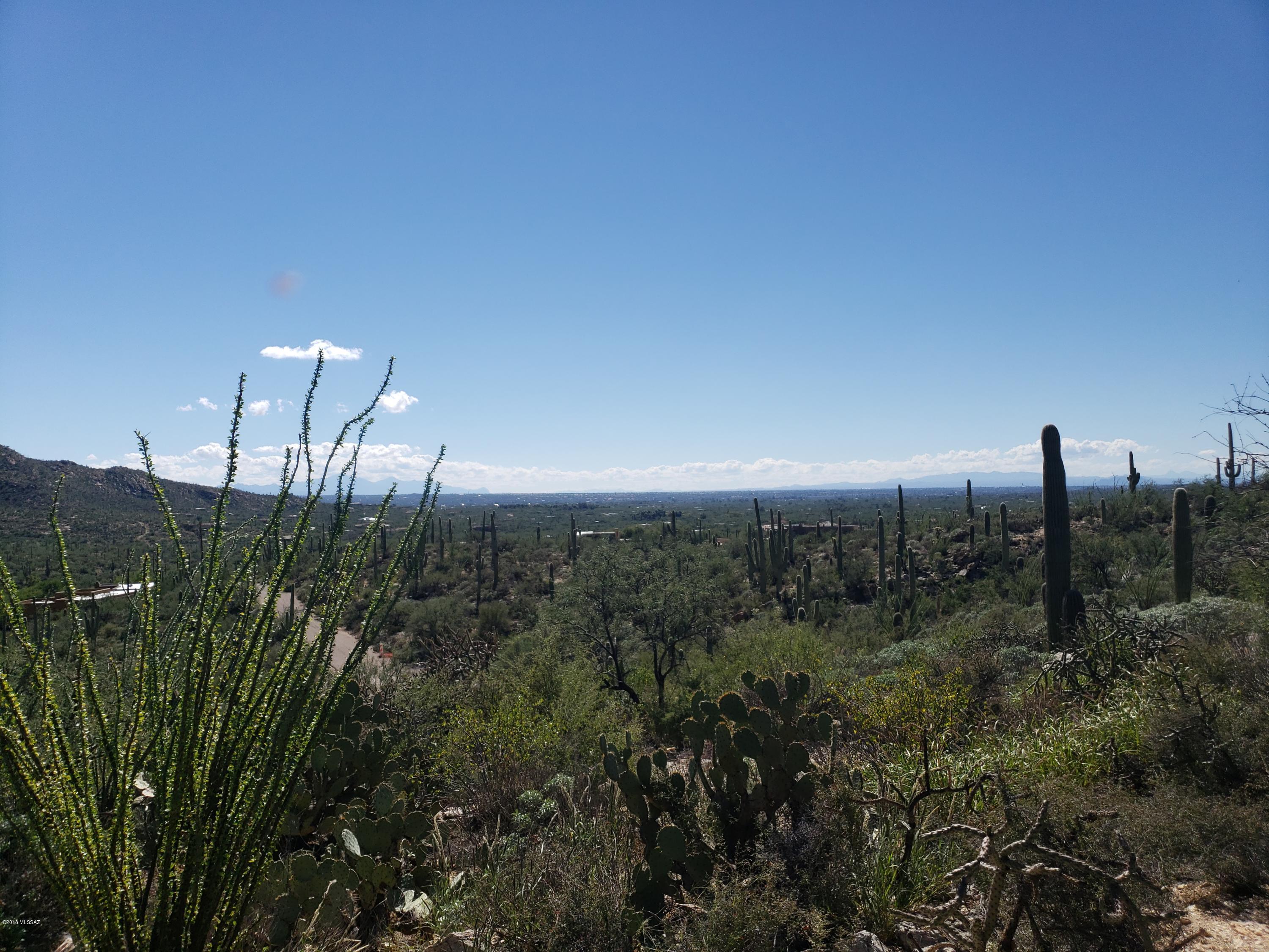 Over 3.5 acres including one high-ground building area and two low-ground sites. All allow beautiful mountain views, but the high-ground building site gives you endless views over the city lights. The high-ground site is accessed off paved Wentworth Rd. while the low-ground site is accessed through a third electronic gate. The area is thick with sentinel saguaros and other desert vegetation.  You are a short distance from Mt. Lemmon Hwy allowing easy access to fishing at Rose Canyon Lake, Summerhaven and Ski Valley.