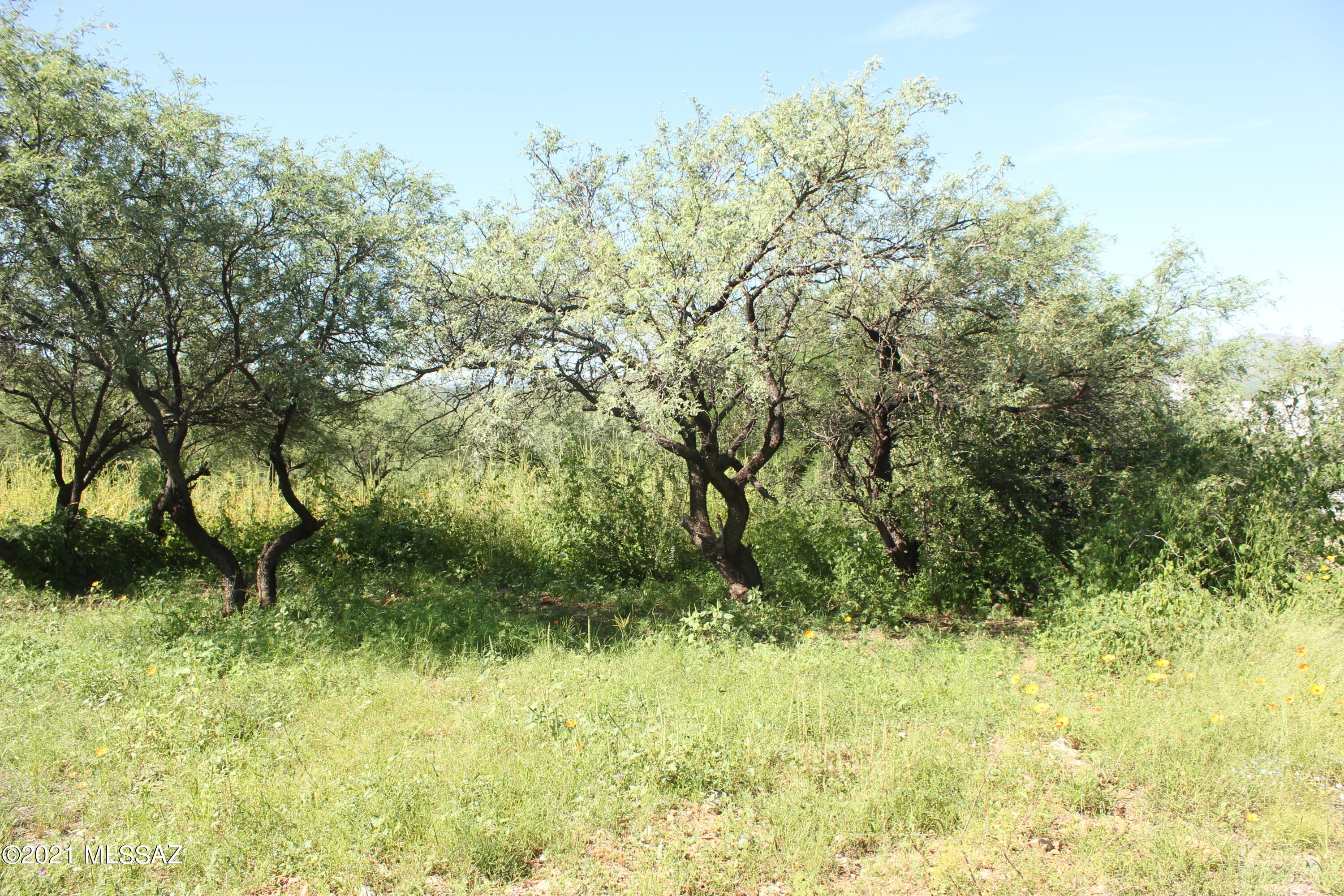 Rio Rico Villas 10 - Land