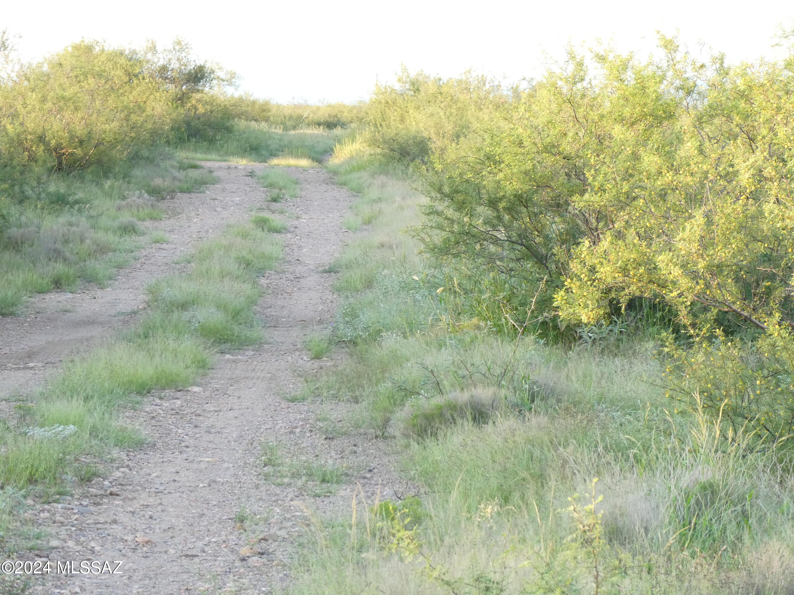Out Of Pima County - Land