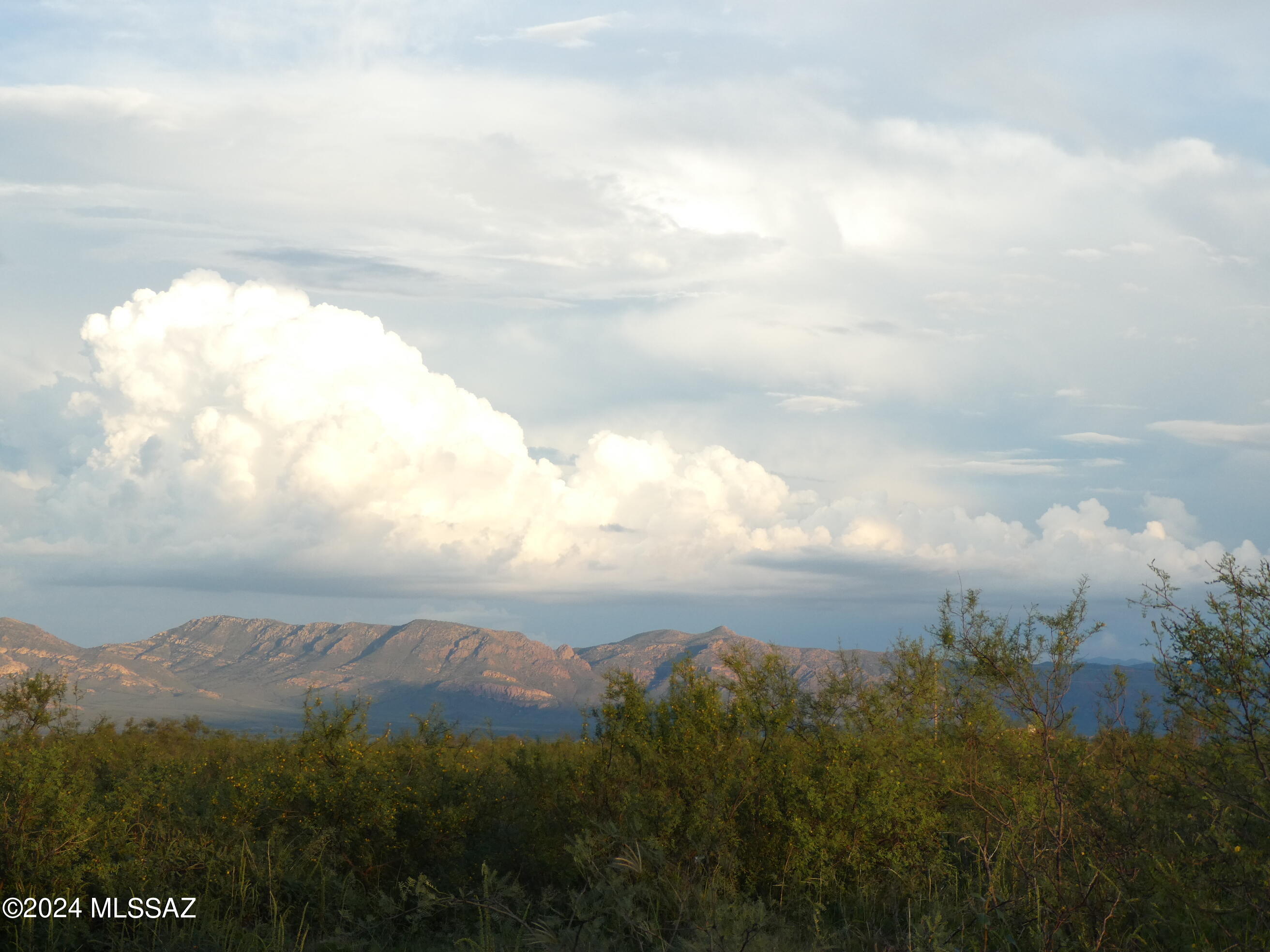 Out Of Pima County - Land