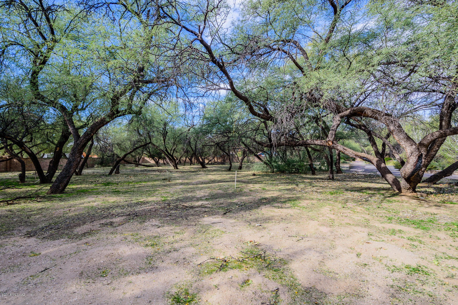 River Forest (1-20) - Land