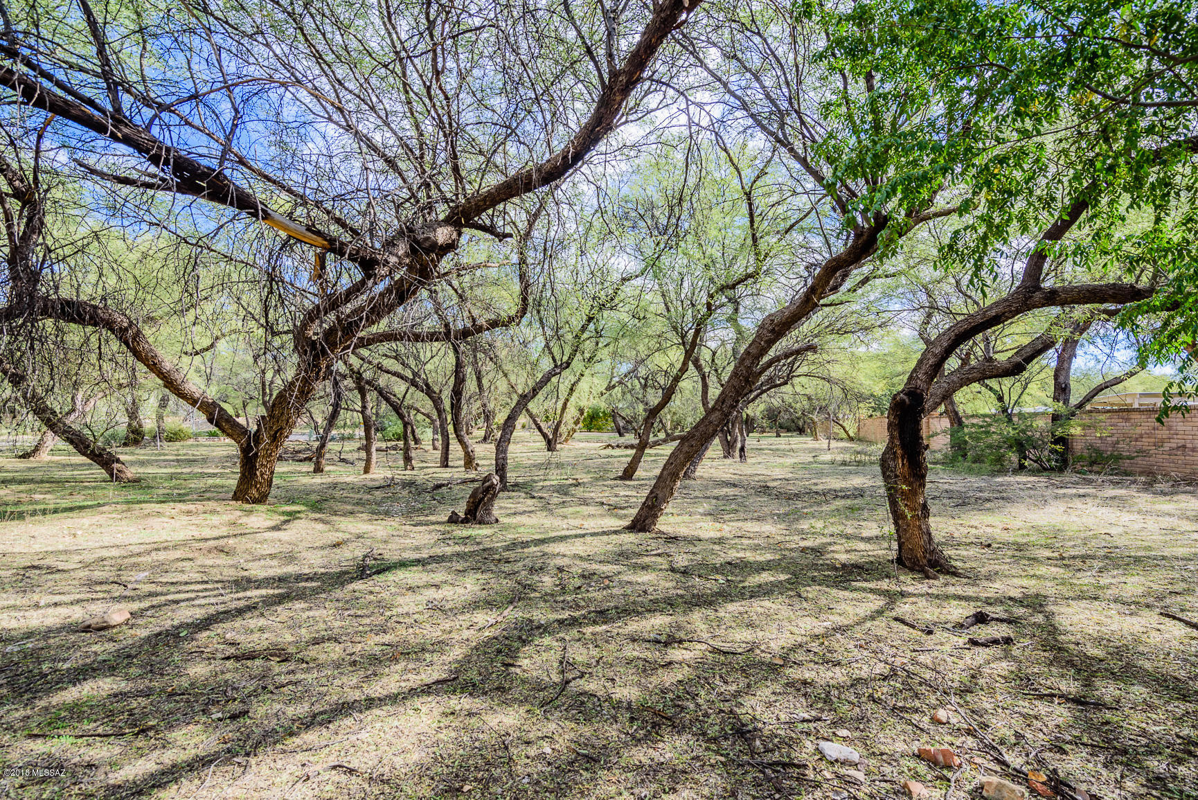 River Forest (1-20) - Land